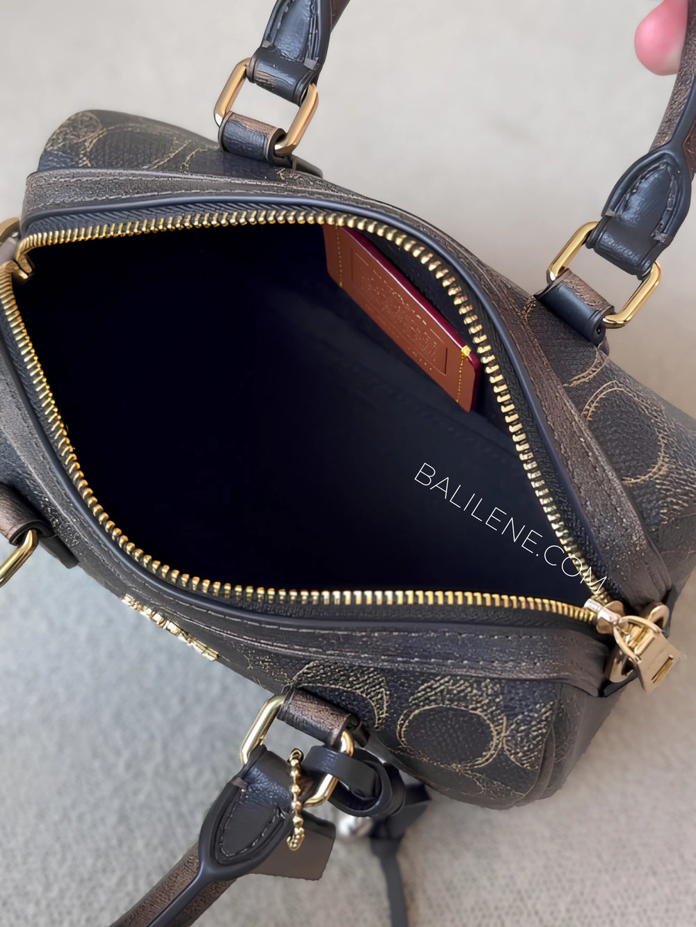 detail-dalam-Coach-Mini-Rowan-Crossbody-Bag-In-Loved-Signature-Canvas-With-Charms-Brown-balilene
