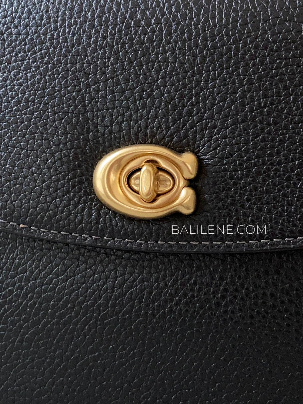 detail-depan-Coach-Cassie-Crossbody-Bag-19-Black-balilene