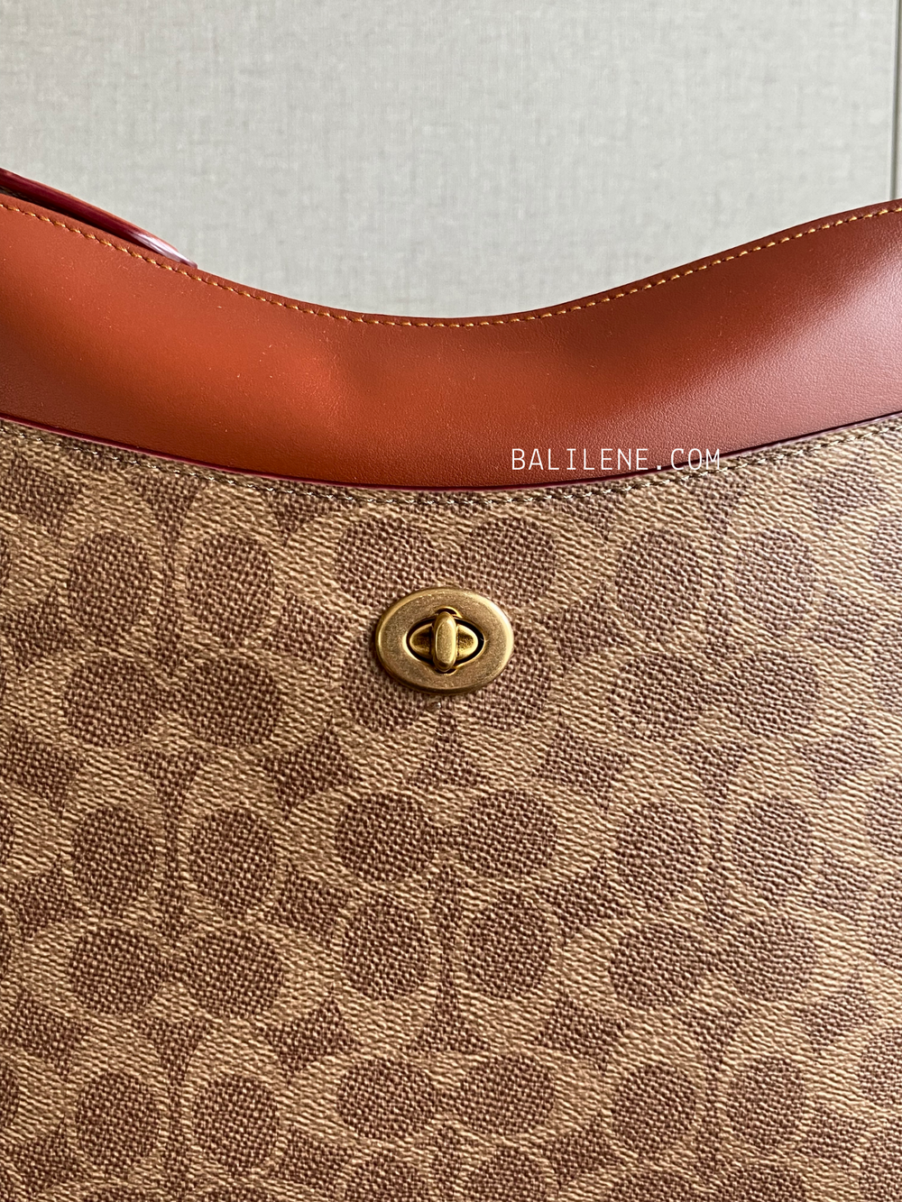 detail-depan-Coach-Chaise-Crossbody-In-Signature-Canvas-Tan-Rust-balilene