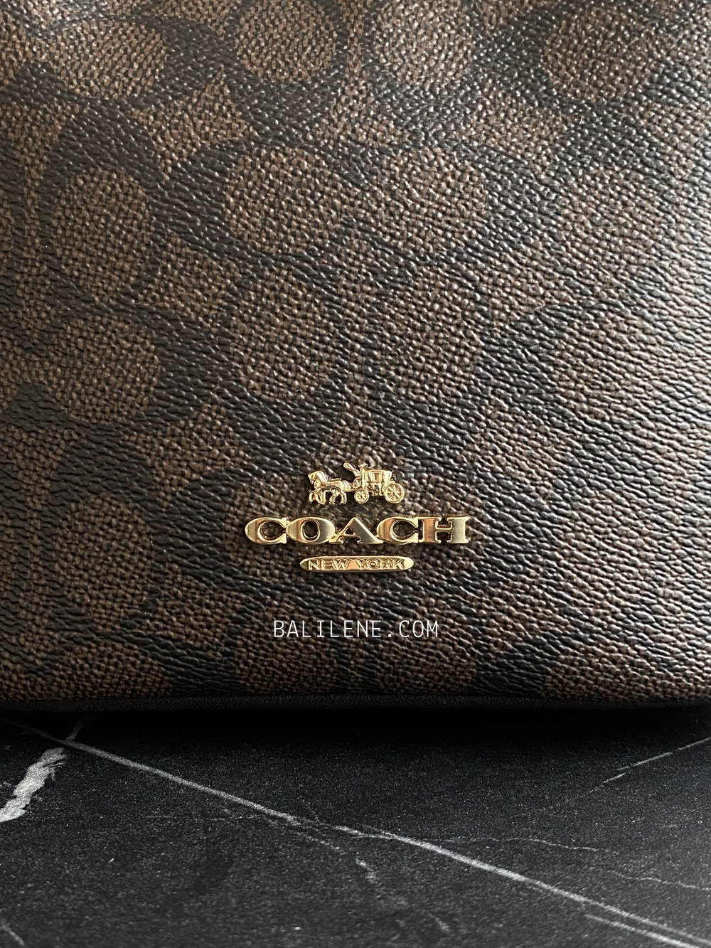 detail-depan-Coach-Hanna-Bucket-Bag-In-Signature-Canvas-Walnut-Black-balilene