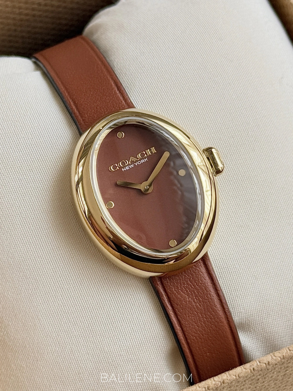 detail-dial-Coach-Sammy-Quartz-Gold-Case-Brown-Leather-Strap-Watch-balilene