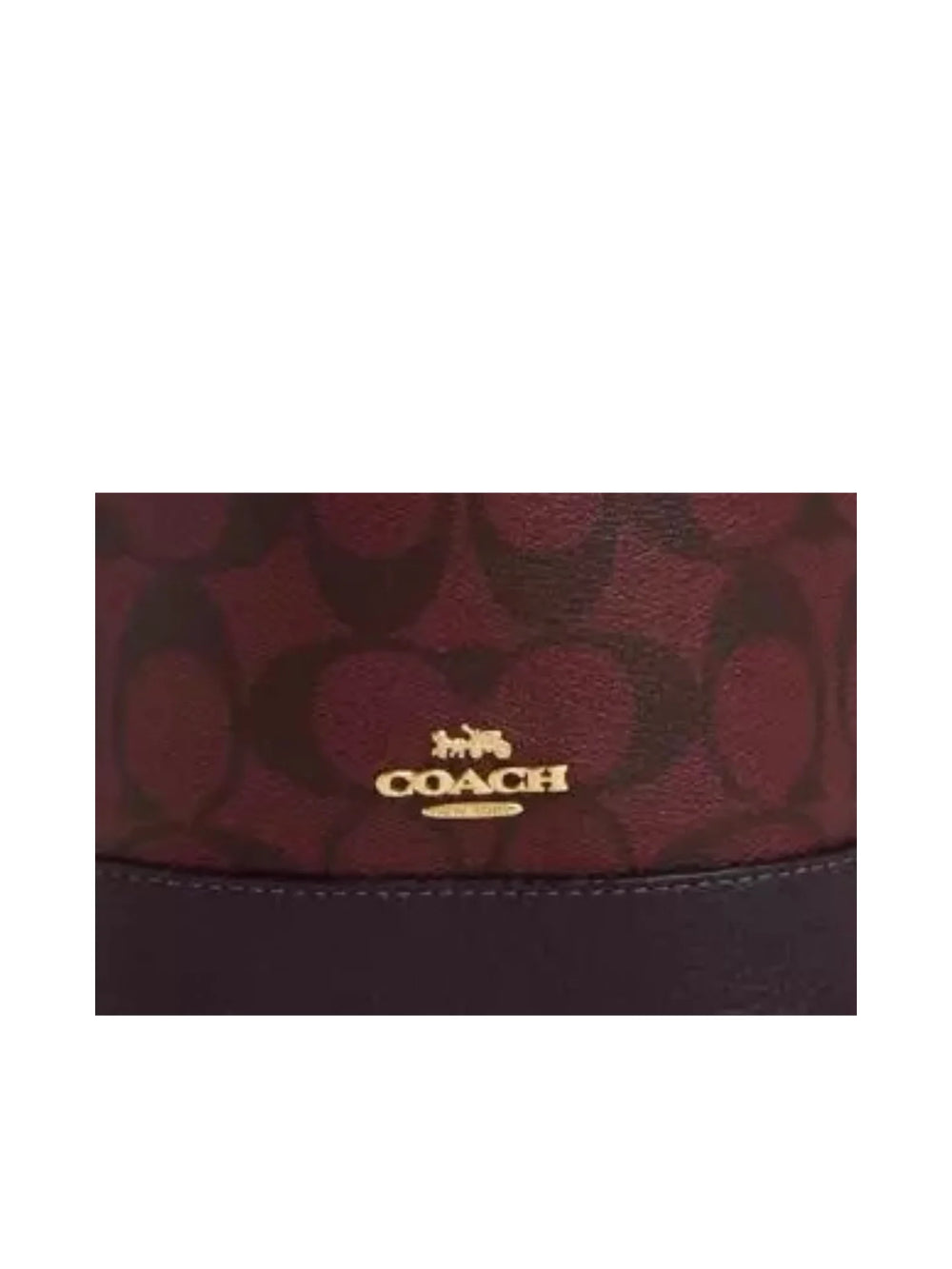 detail-logo-Coach-Dempsey-Drawstring-Bucket-Bag-in-Signature-Canvas-Leather-Oxblood-MultiWEBP