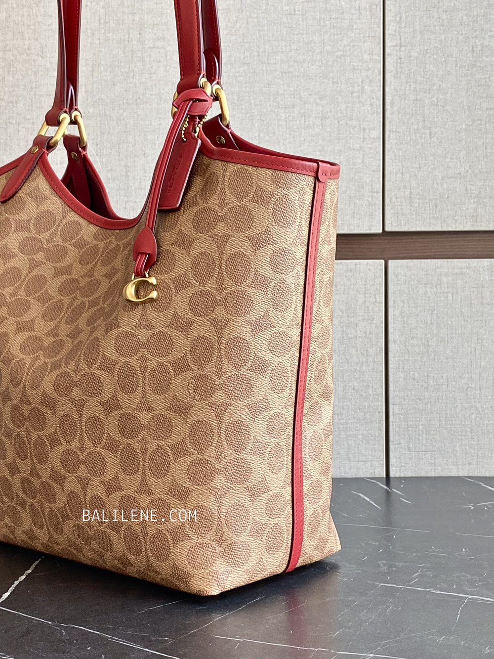 detail-samping-Coach-Box-Program-Coated-Canvas-Signature-Day-Tote-Bag-Tan-Rust-balilene