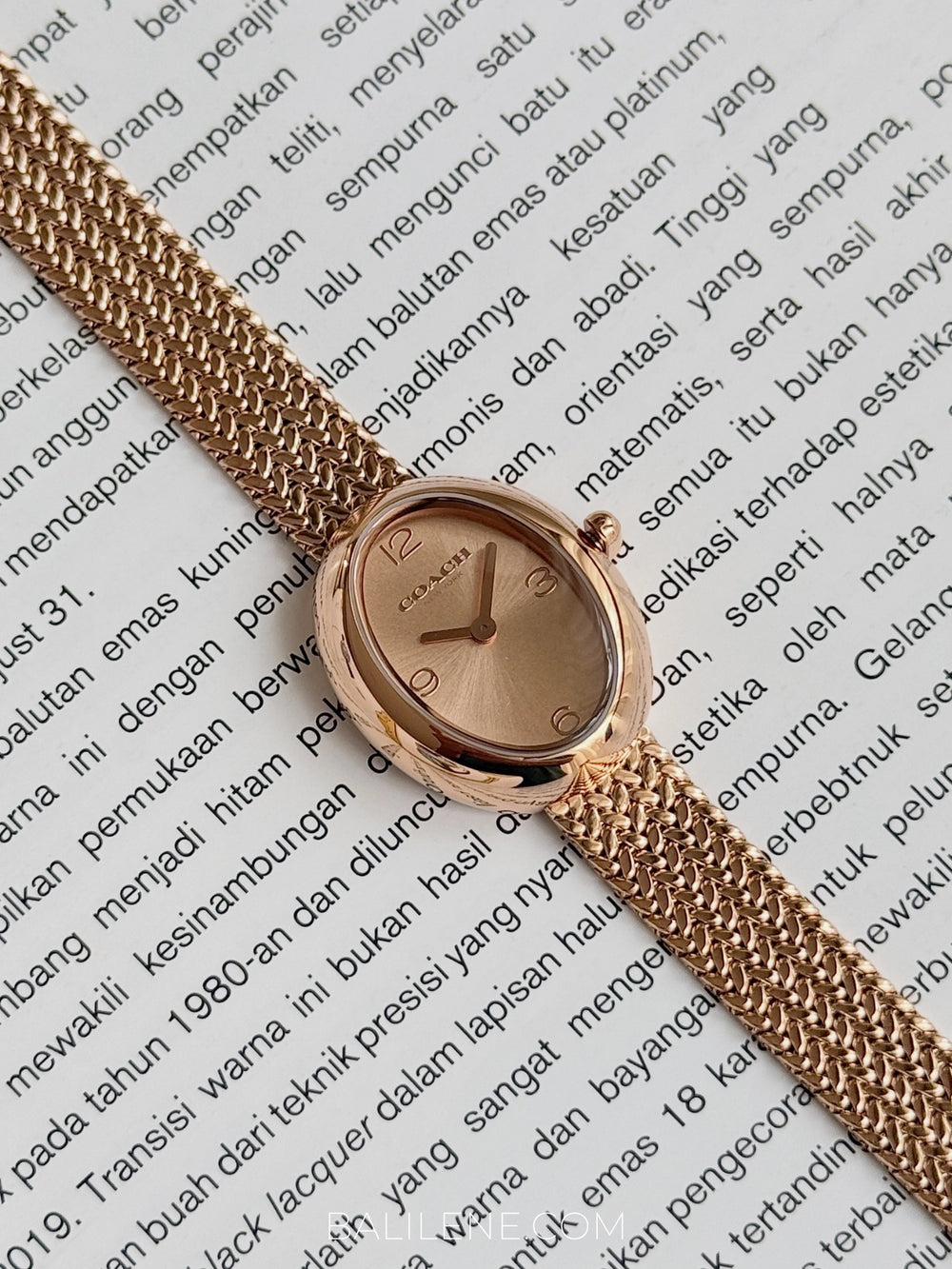 gambar-Coach-Sammy-Rose-Gold-Stainless-Steel-Women-Watch-balilene