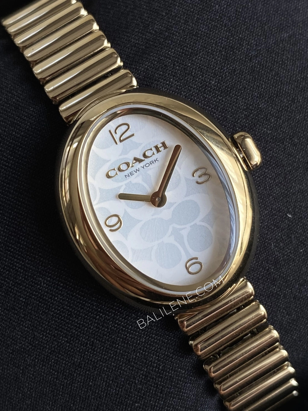 gambar-dial-Coach-Sammy-Quartz-Gold-tone-Stainless-Steel-Watch-balilene