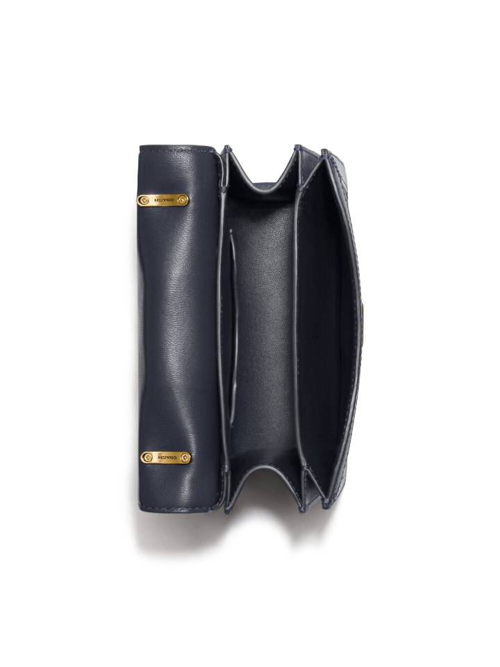 Coach sales protective bag