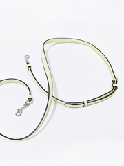 Coach C9950 Mini Rowan Crossbody Pale Lime