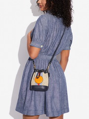 Coach C9955 Mini Dempsey Bucket Bag With Coach Patch Natural Multi