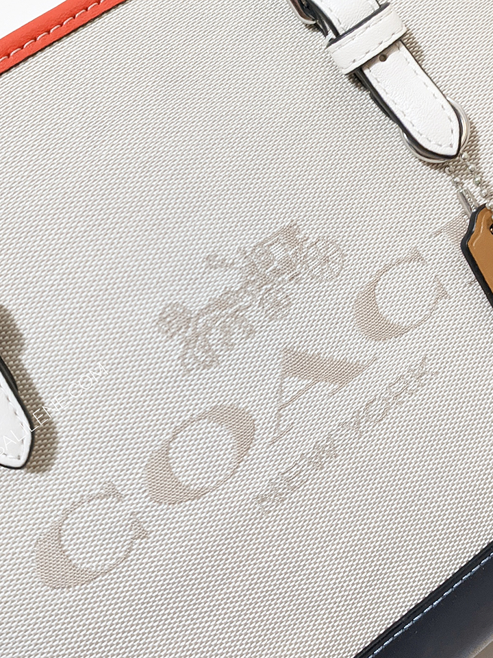 Coach-CB651-Mollie-Tote-25-In-Colorblock-Natural-Multi-Balilene-detail-logo
