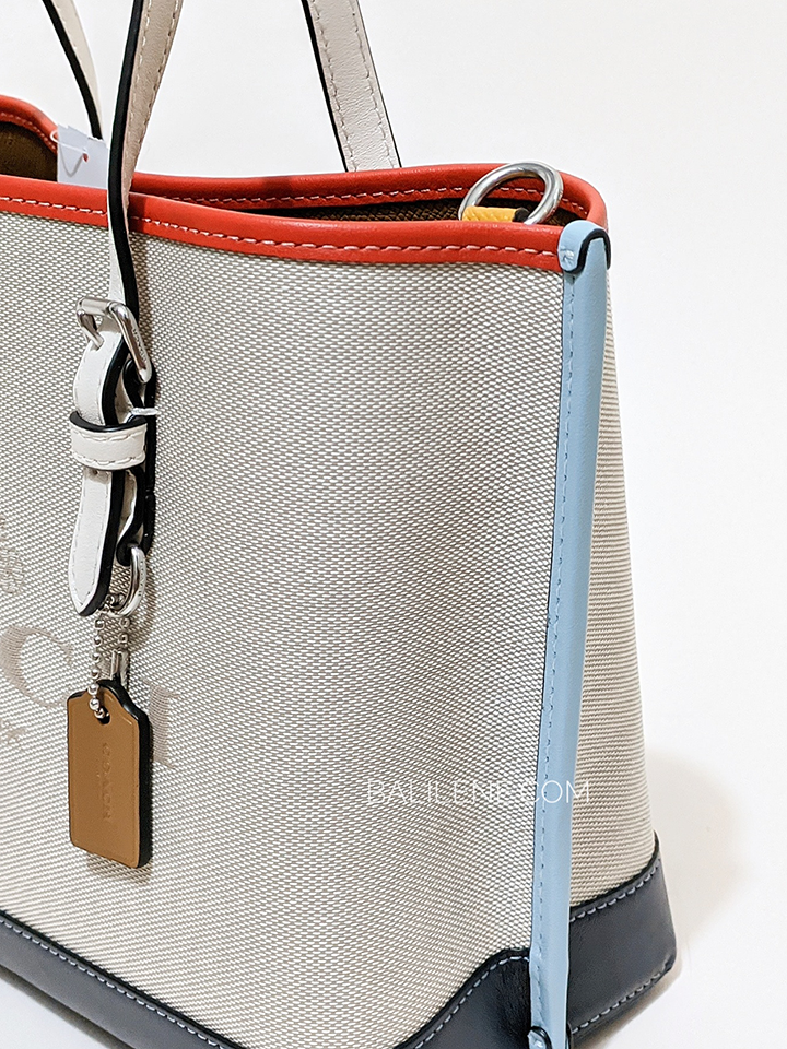 Coach-CB651-Mollie-Tote-25-In-Colorblock-Natural-Multi-Balilene-detail-samping
