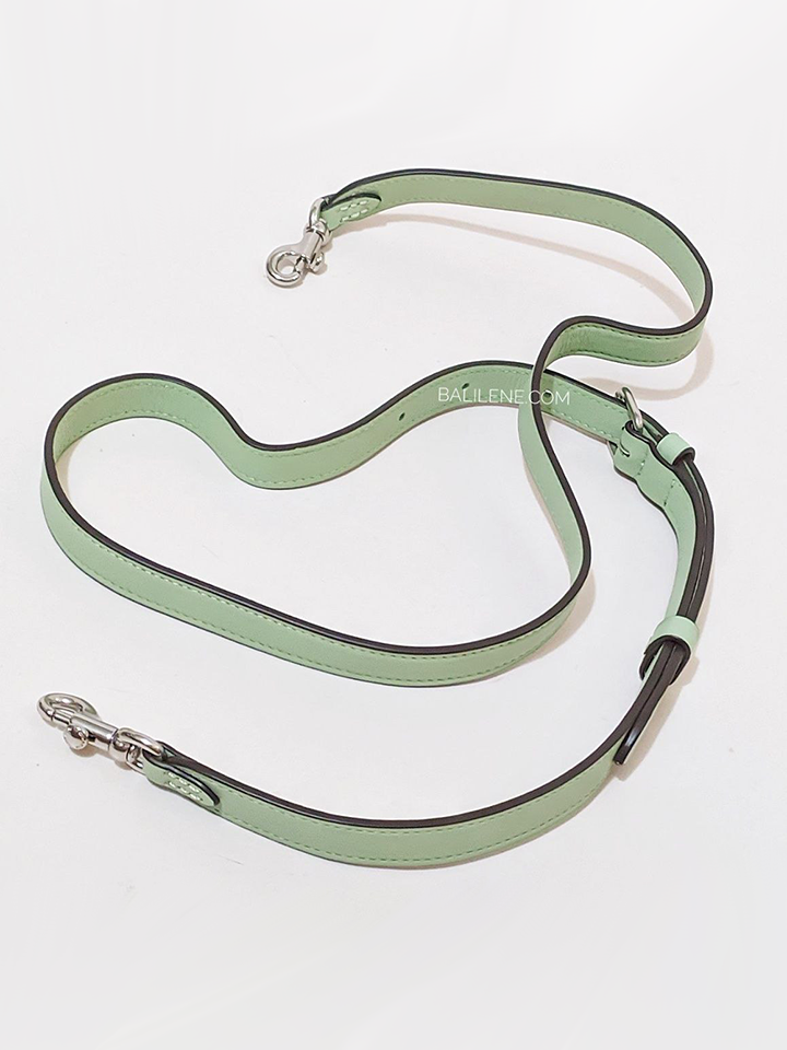 Coach-Pillow-Tabby-Shoulder-Bag-18-Pale-Pistachio-Balilene-detail-strap