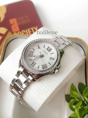 Fossil AM4576 Cecile Mini Silver Stainless Steel Watch