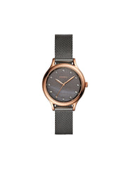 Fossil BQ3393 Laney Three-Hand Smoke Stainless Steel Watch