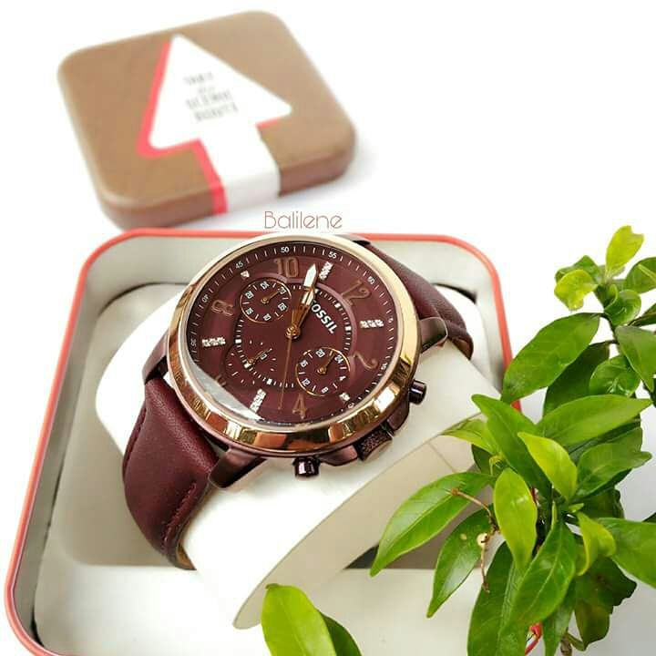 Jam Tangan ES4116 Fossil Gwyn Chronograph Wine Leather Watch