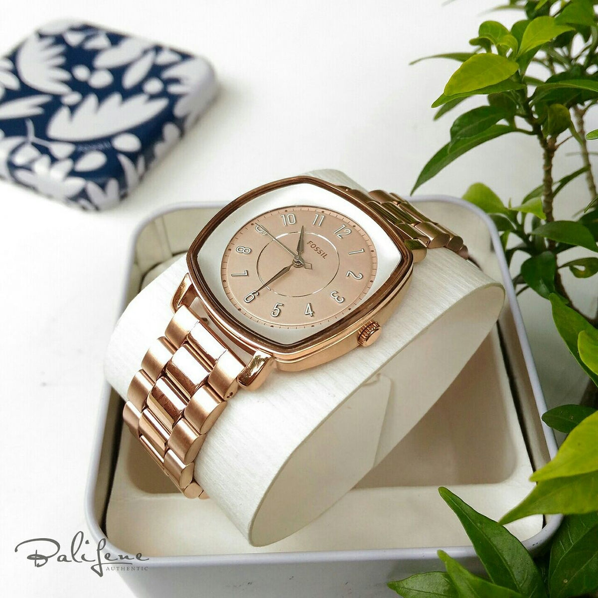 Fossil idealist shop
