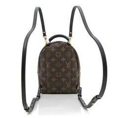 Louis Vuitton M41562 Palm Springs Backpack Mini