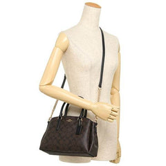 Coach F29434 Mini Sage Carryall In Signature Canvas Brown Black