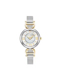 Aigner-Pavia-Stainless-Steel-Strap-Silver