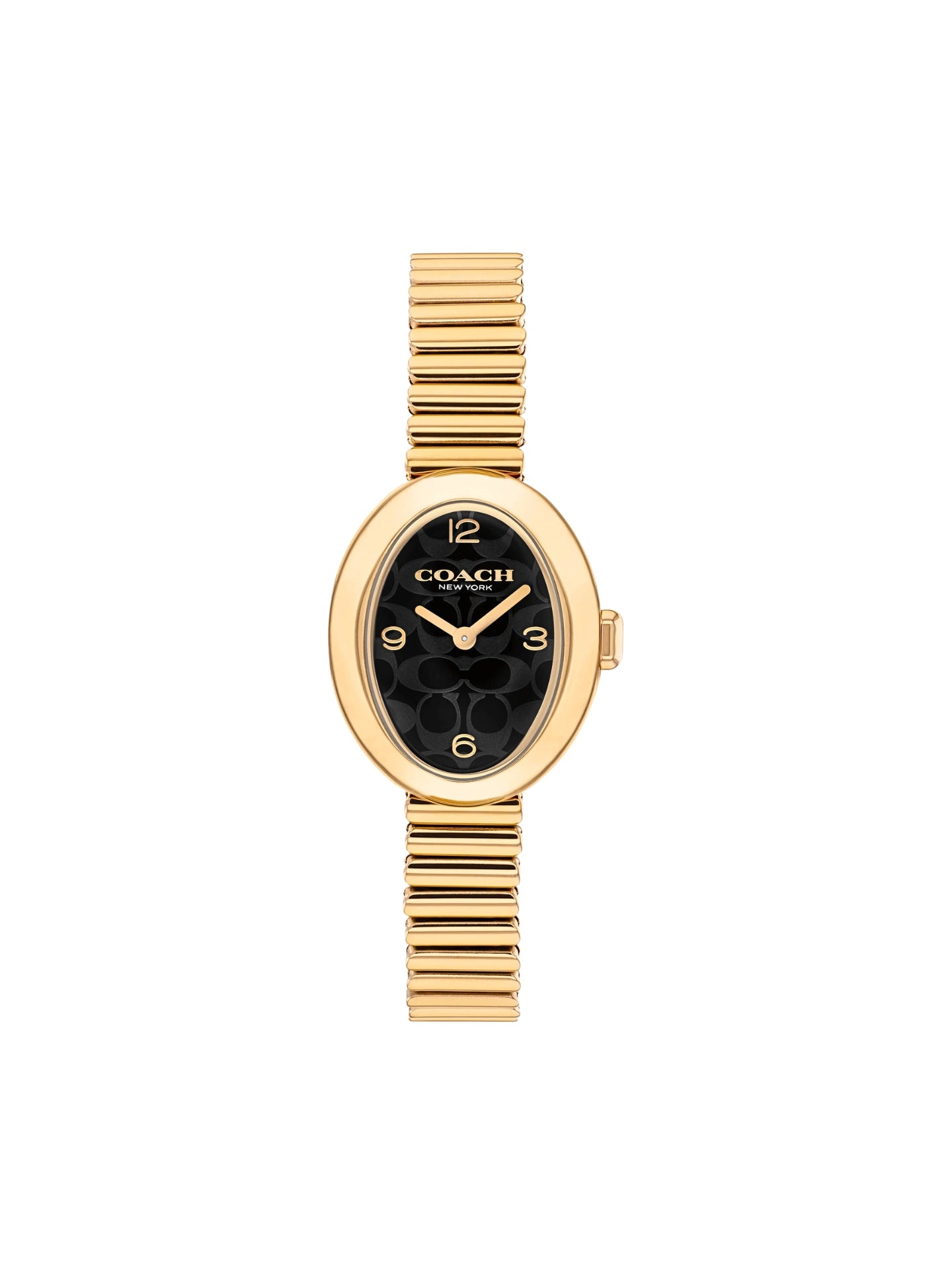 Coach-Sammy-Black-Dial-Gold-Strap-Stainless-Steel-Watch