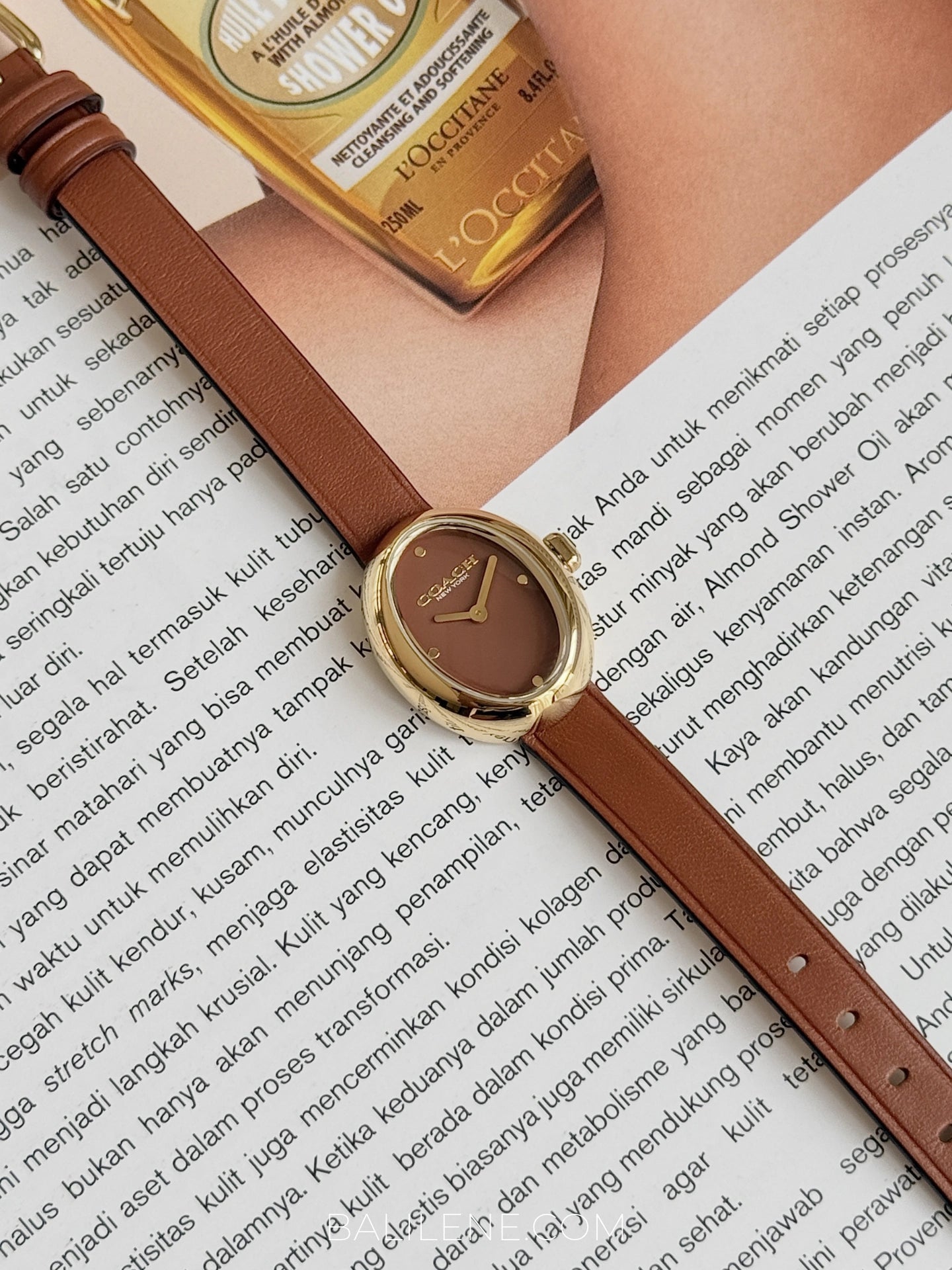 detail-dial-Coach-Sammy-Quartz-Gold-Case-Brown-Leather-Strap-Watch-balilene
