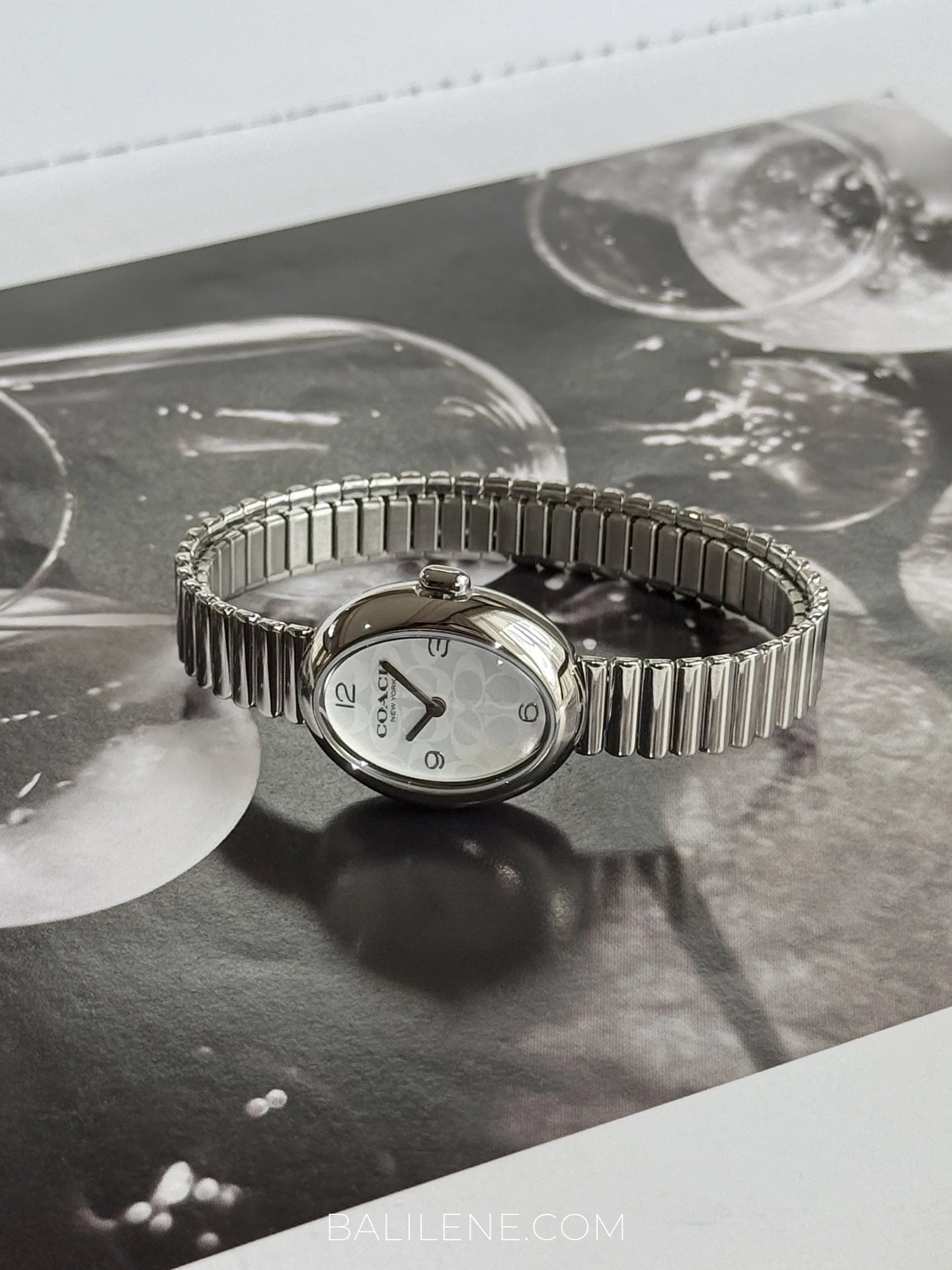 Coach-Sammy-Silver-In-Signature-White-Dial-Stainless-Steel-Watch-balilene