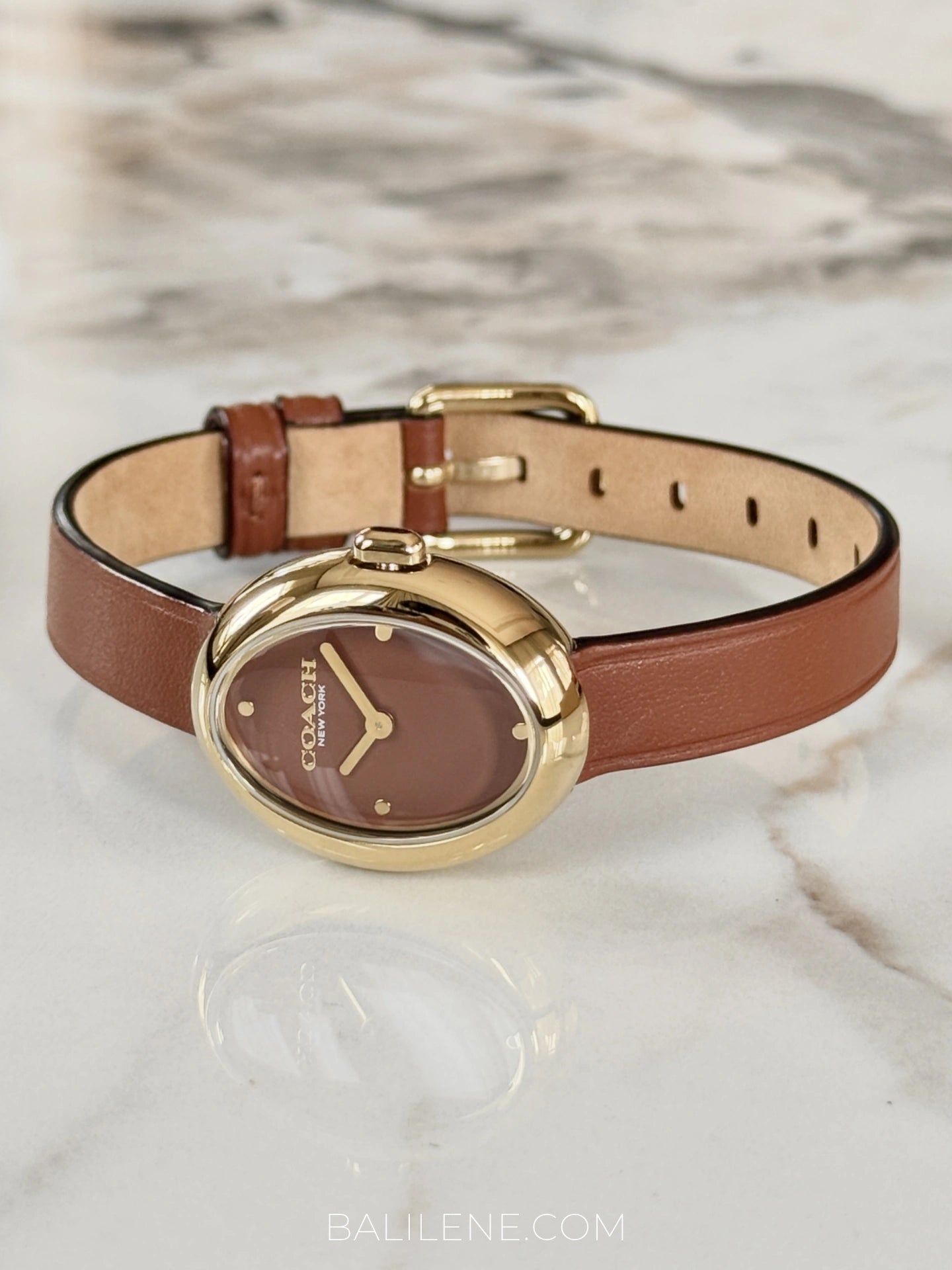 depan-Coach-Sammy-Quartz-Gold-Case-Brown-Leather-Strap-Watch-balilene