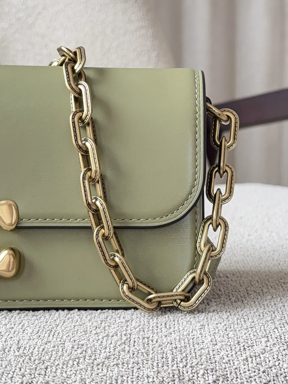 detail-Coach-Idol-Bag-23-Moss-balilene