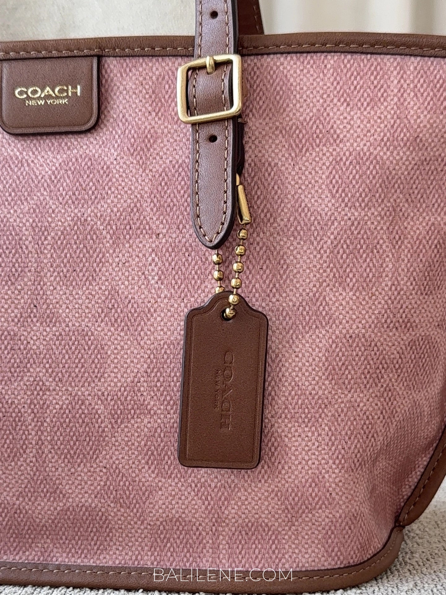 detail-Coach-Taxi-Tote-Bag-21-In-Signature-Canvas-Pink-Sable-balilene