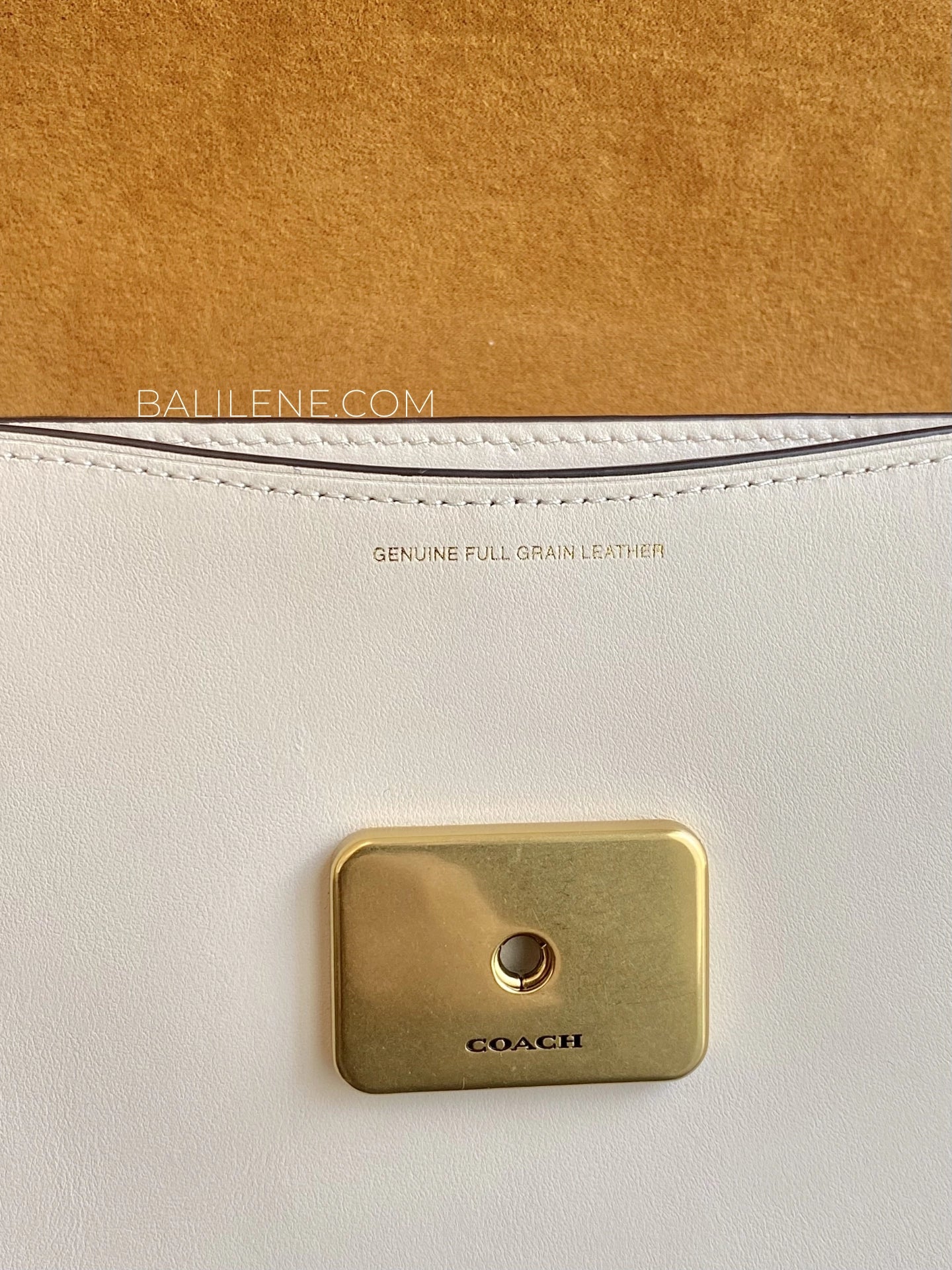 detail-closure-Coach-Sage-Shoulder-Bag-Chalk-balilene
