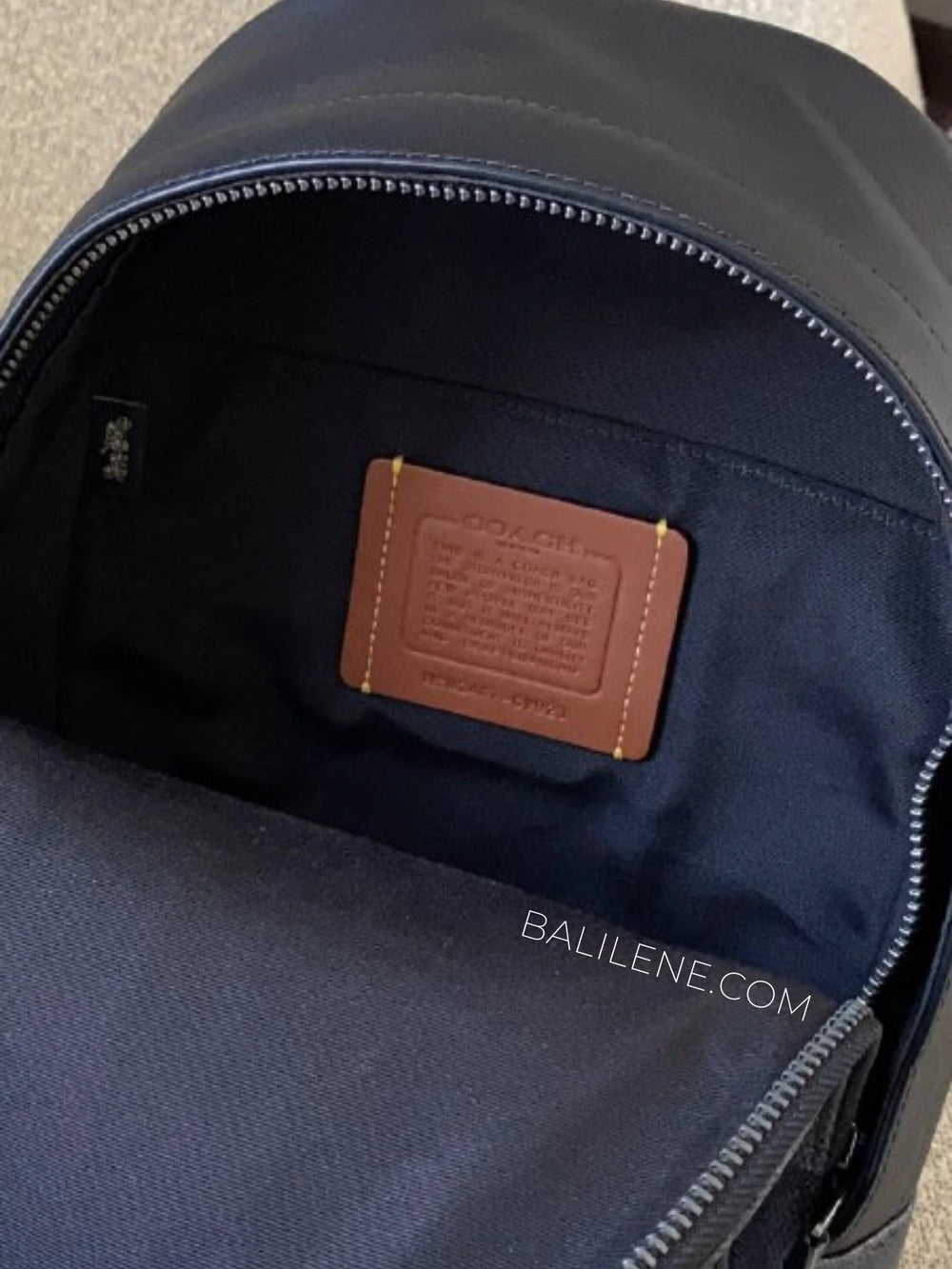 detail-dalam-Coach-West-Pack-In-Signature-Canvas-Varsity-Stripe-Charcoal-Multi-balilene