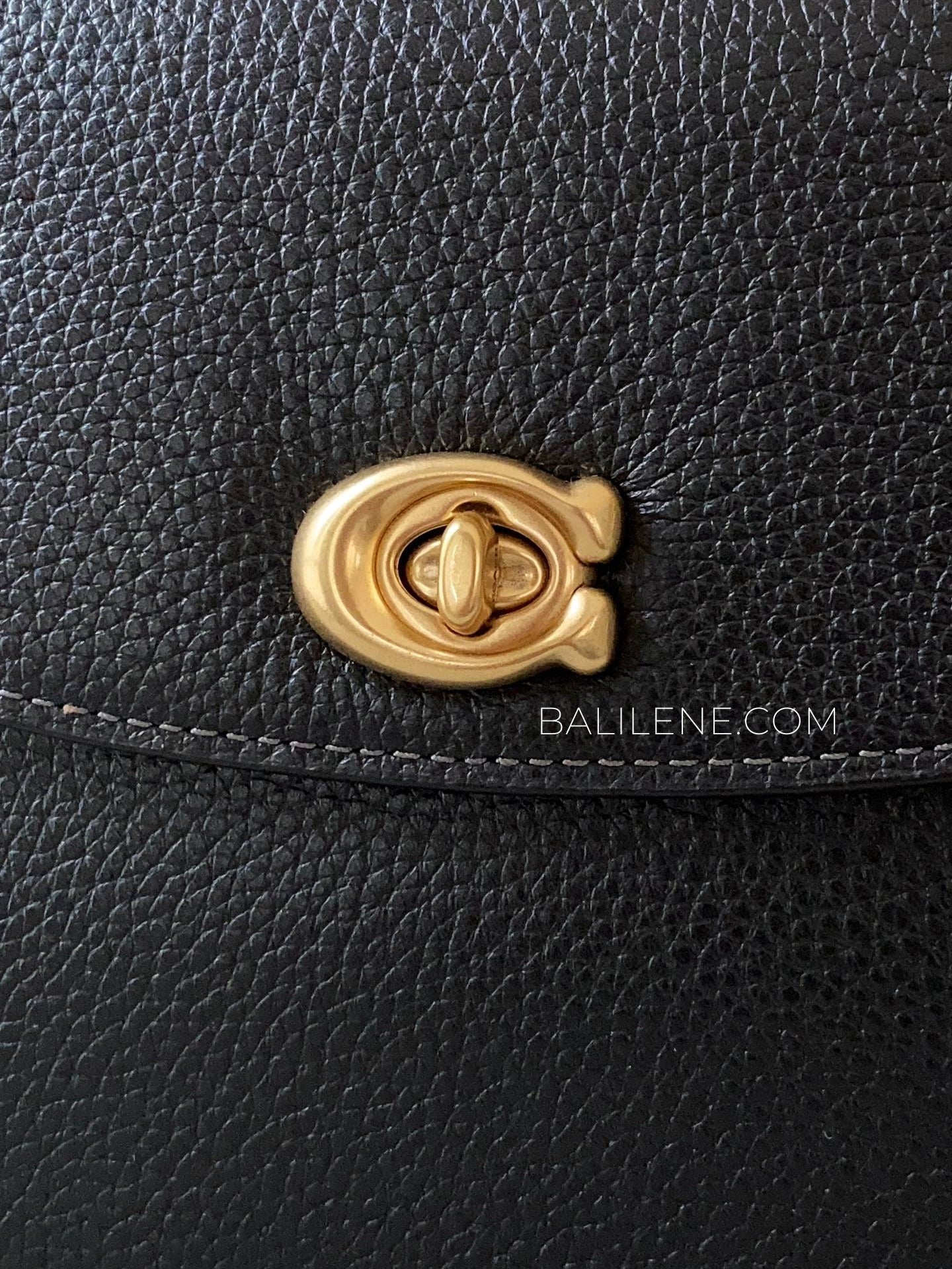 detail-depan-Coach-Cassie-Crossbody-Bag-19-Black-balilene