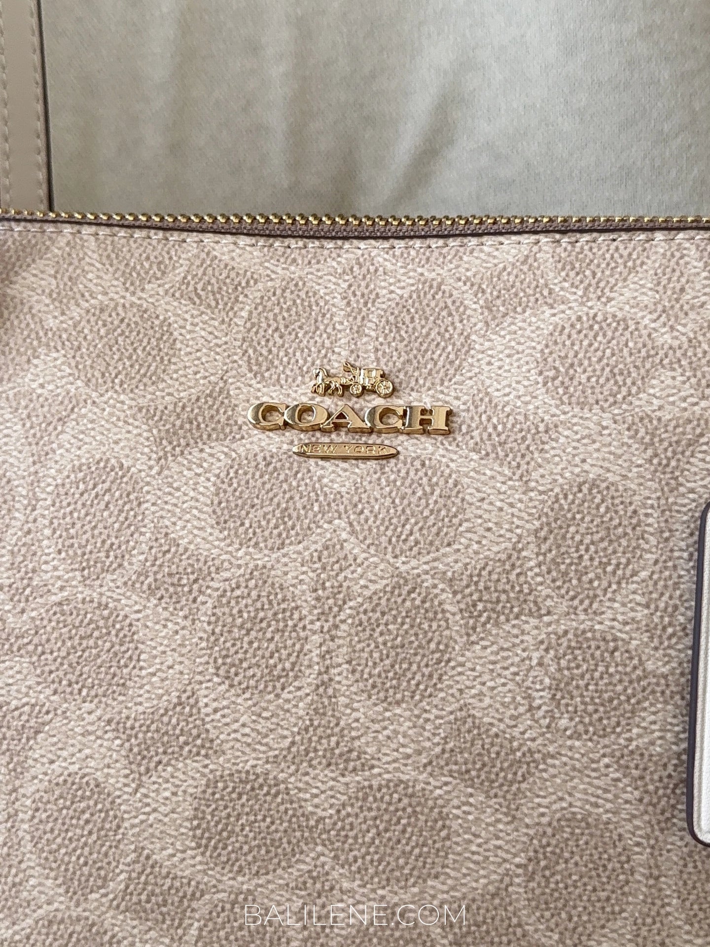 detail-depan-Coach-Fiona-Zip-Tote-Bag-In-Signature-Canvas-Sand-Chalk-balilene