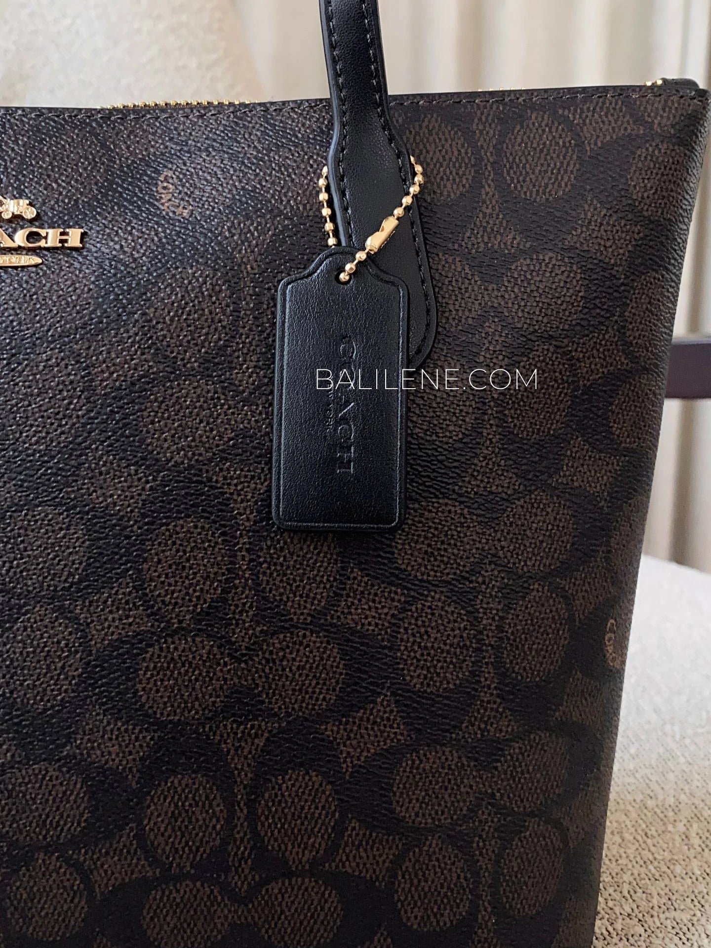 detail-depan-Coach-Fiona-Zip-Tote-Bag-In-Signature-Canvas-Walnut-Black-balilene