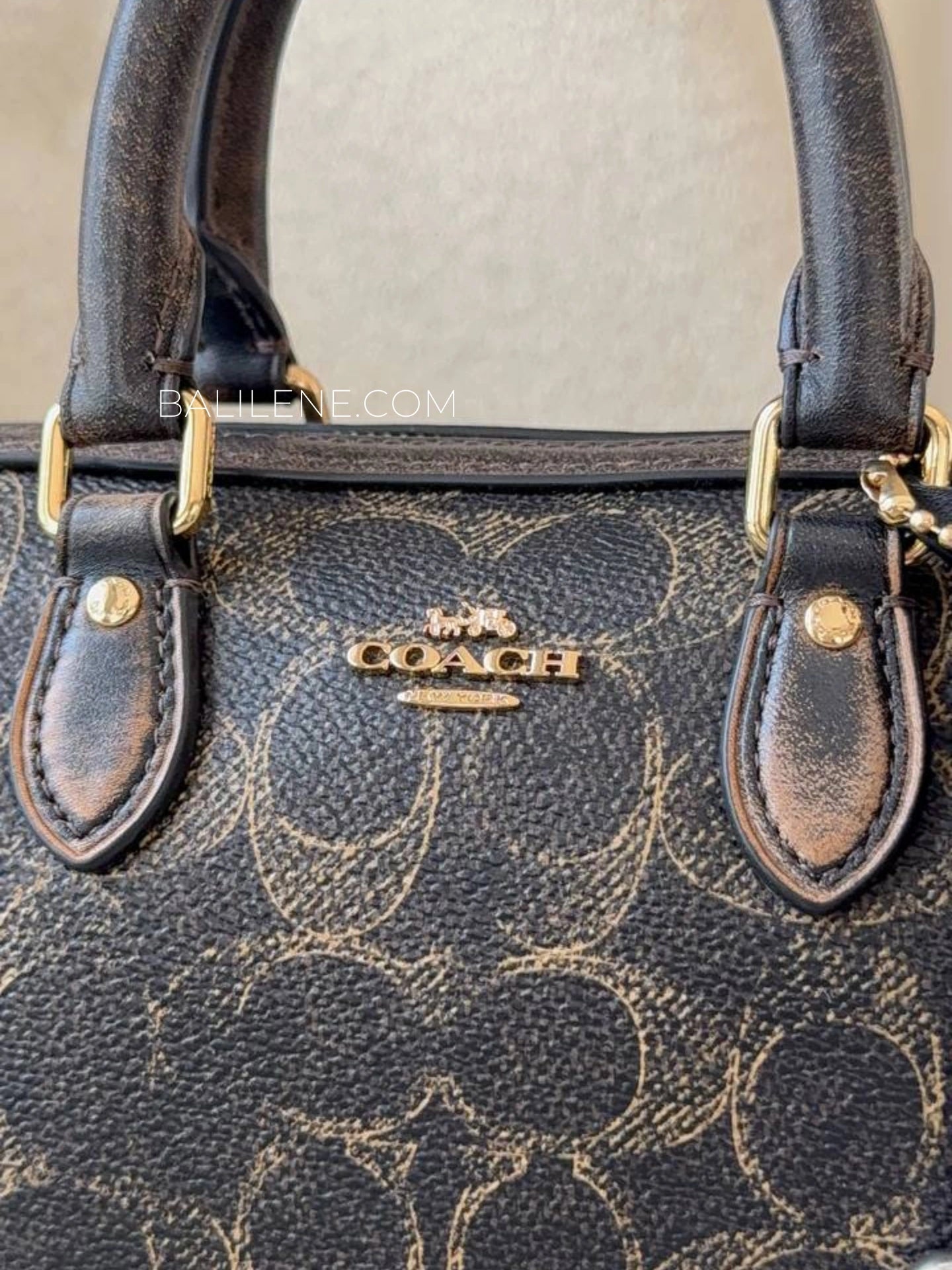 detail-depan-Coach-Mini-Rowan-Crossbody-Bag-In-Loved-Signature-Canvas-With-Charms-Brown-balilene