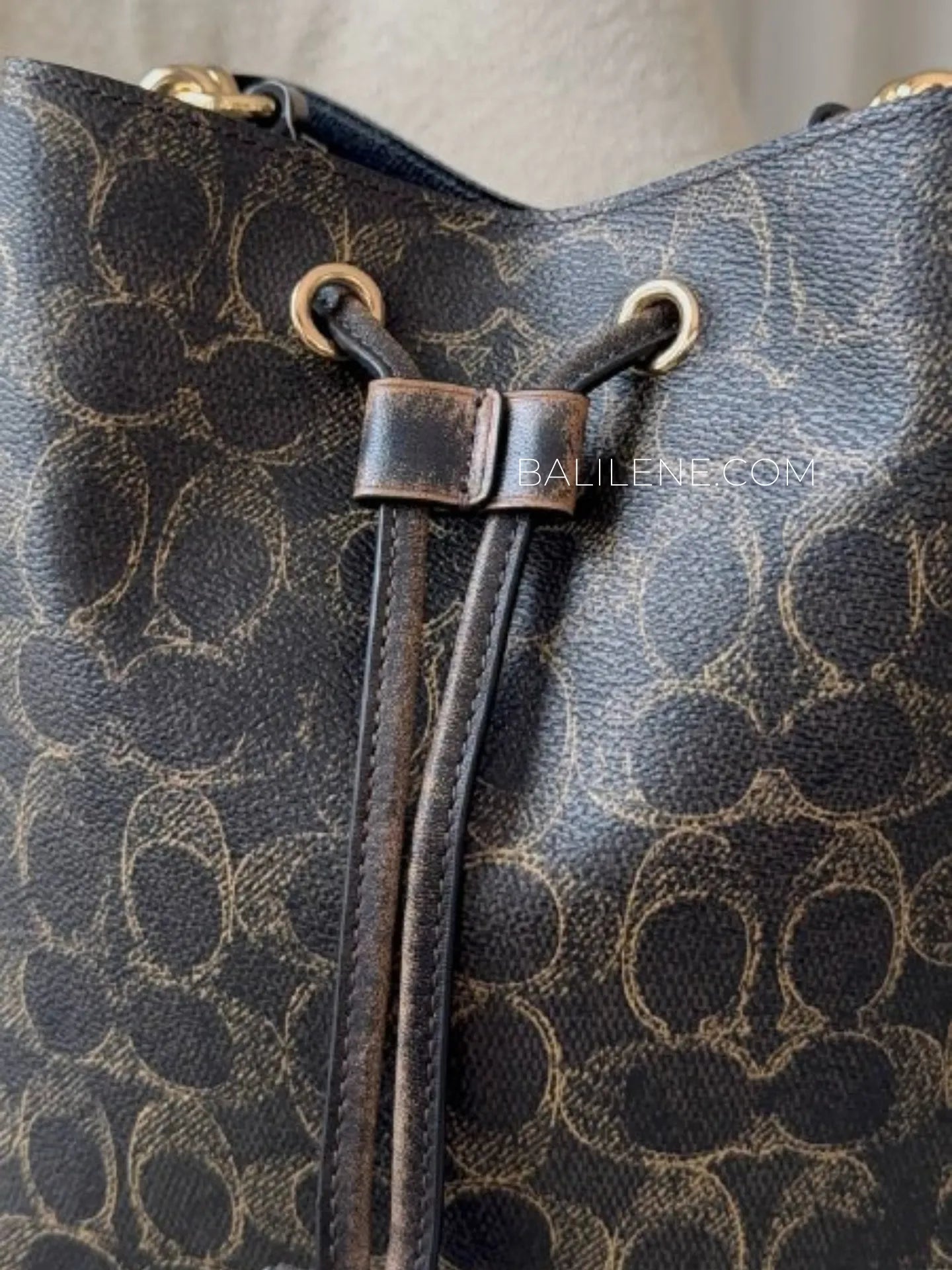 detail-depan-Coach-Rowan-Bucket-Bag-In-Loved-Signature-Canvas-With-Charms-Brown-balilene