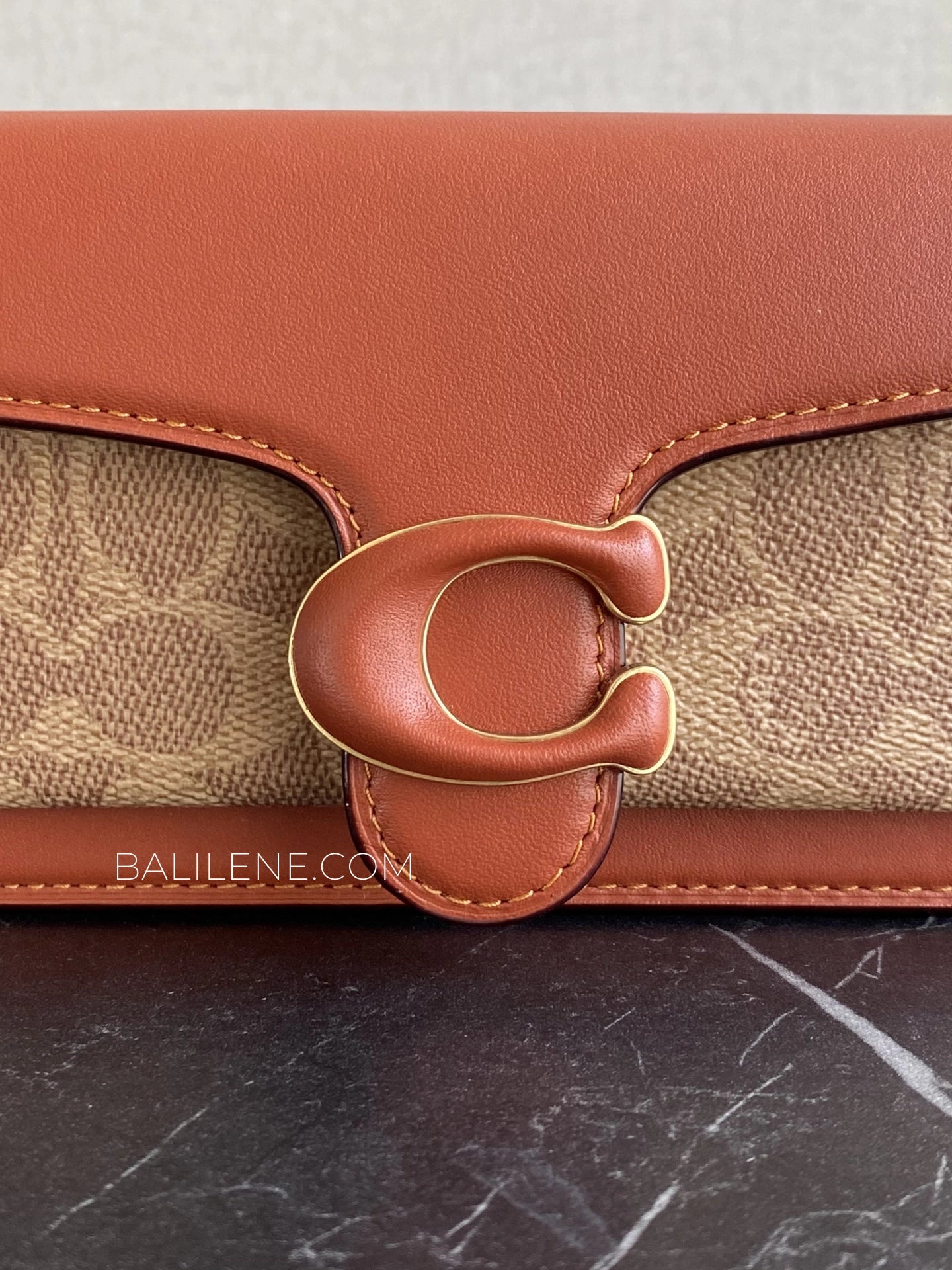 detail-depan-Coach-Tabby-Wristlet-In-Signature-Canvas-Tan-Rust-balilene