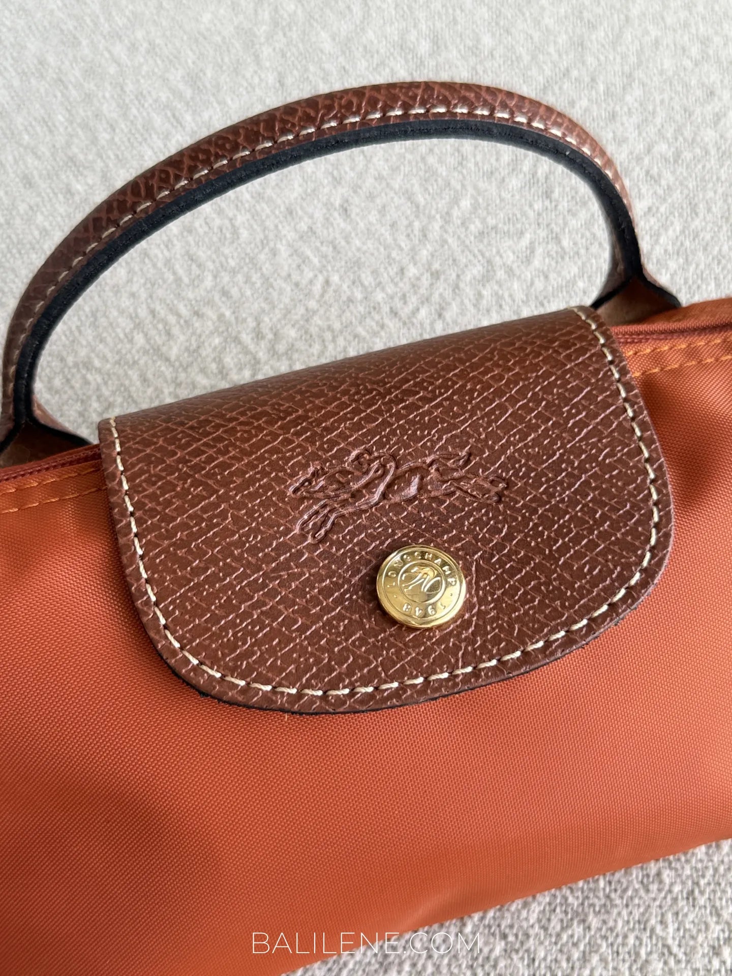 detail-depan-Longchamp-Le-Pliage-Original-Pouch-Brick-balilene
