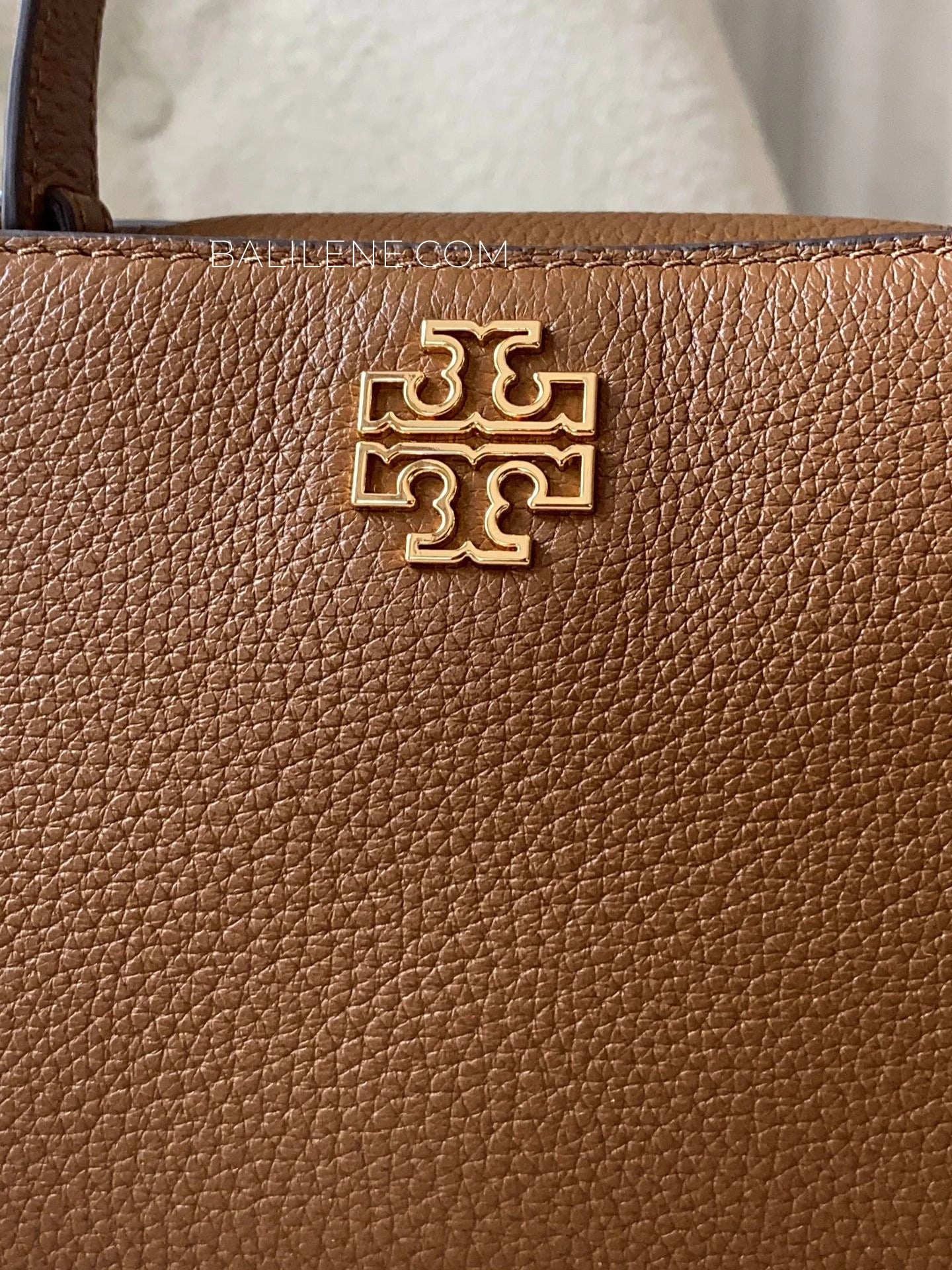 detail-depan-Tory-Burch-Britten-Mini-Satchel-Bag-Moose-balilene