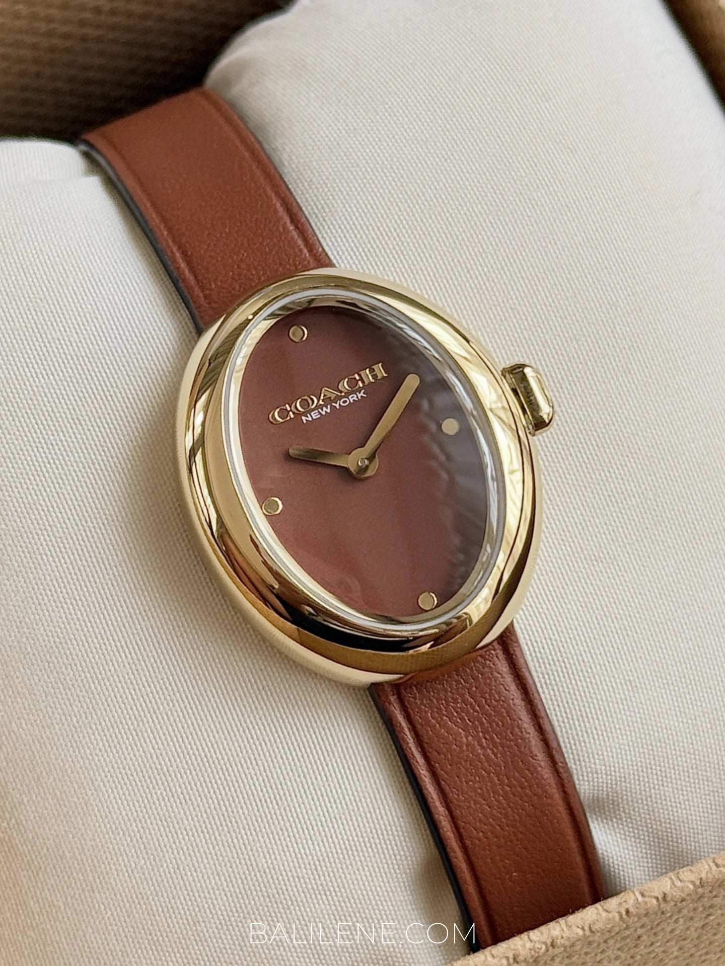 detail-dial-Coach-Sammy-Quartz-Gold-Case-Brown-Leather-Strap-Watch-balilene