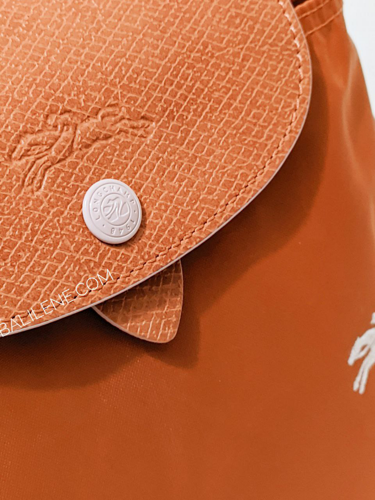 detail-logo-Longchamp-Le-Pliage-Club-Backpack-Bag-Rust-Silver