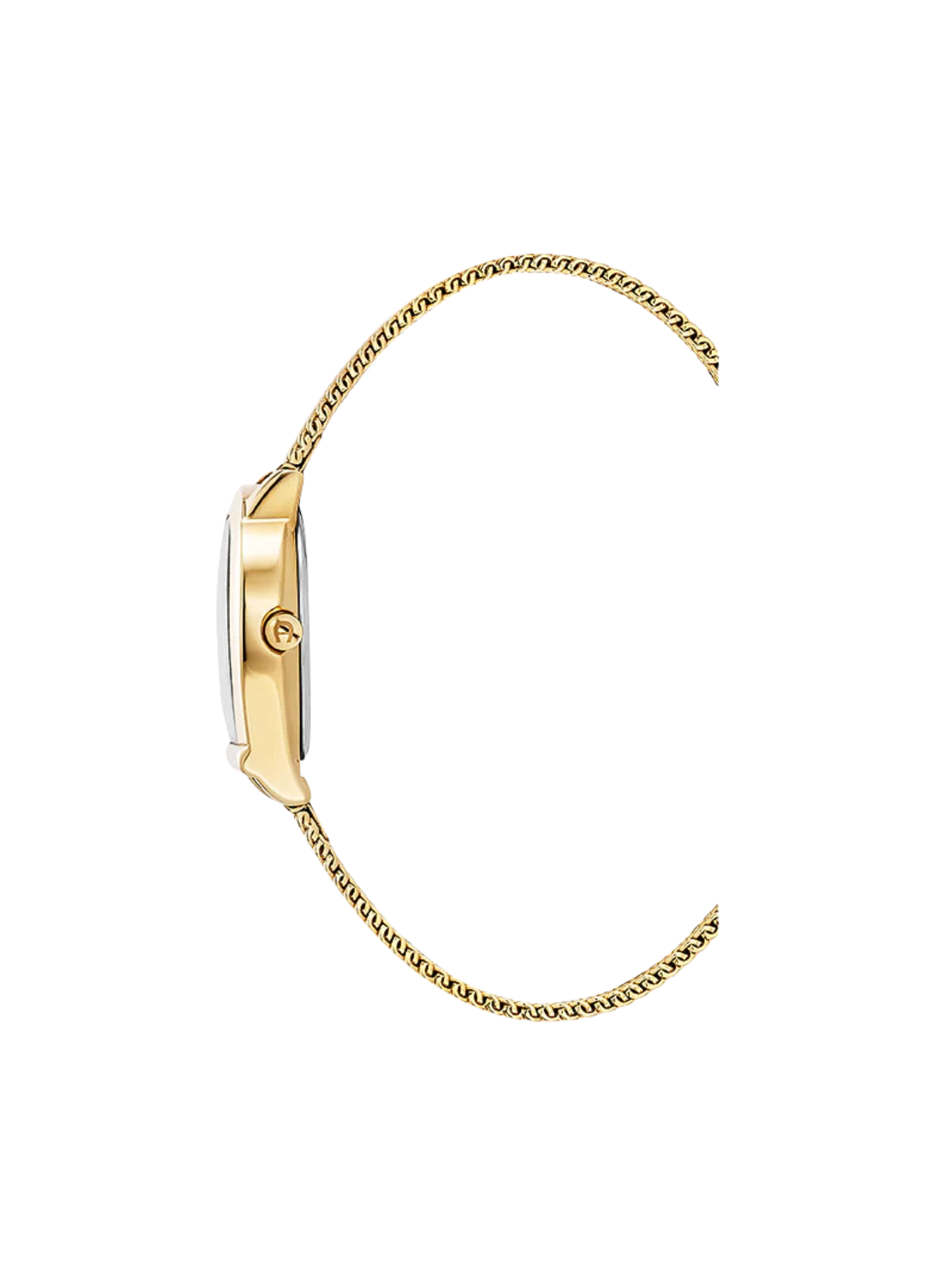detail-samping-Aigner-Molise-Lady-Stainless-Steel-Strap-Gold