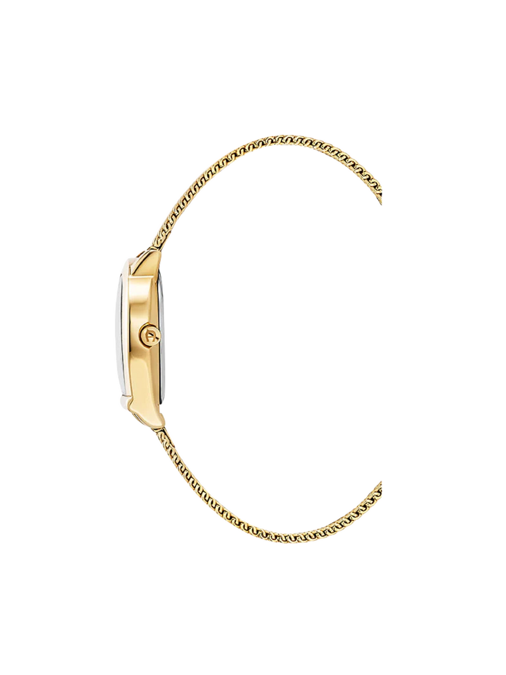 detail-samping-Aigner-Molise-Lady-Stainless-Steel-Strap-Gold