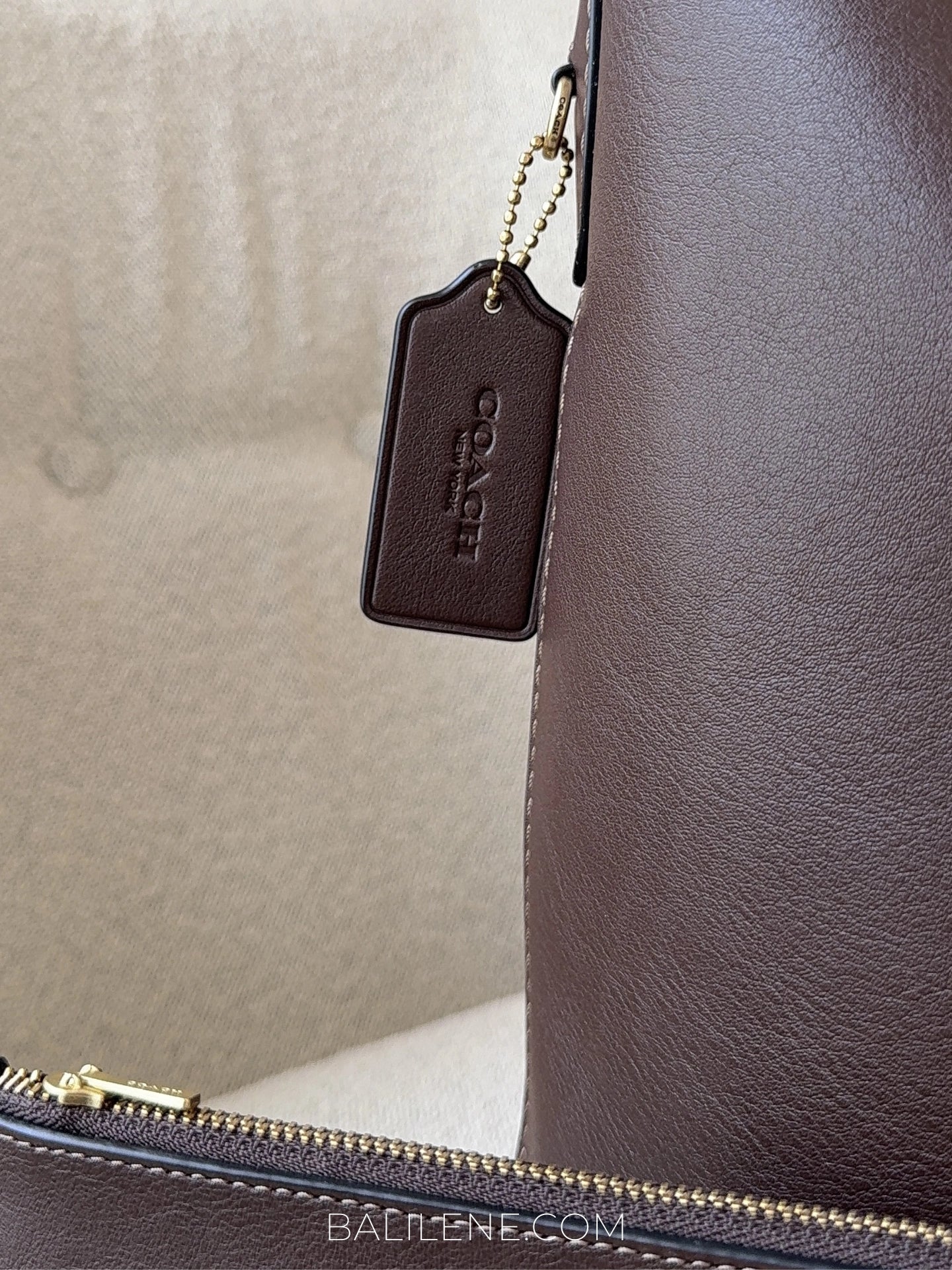 detail-samping-Coach-Bleecker-Bucket-Bag-Maple-balilene