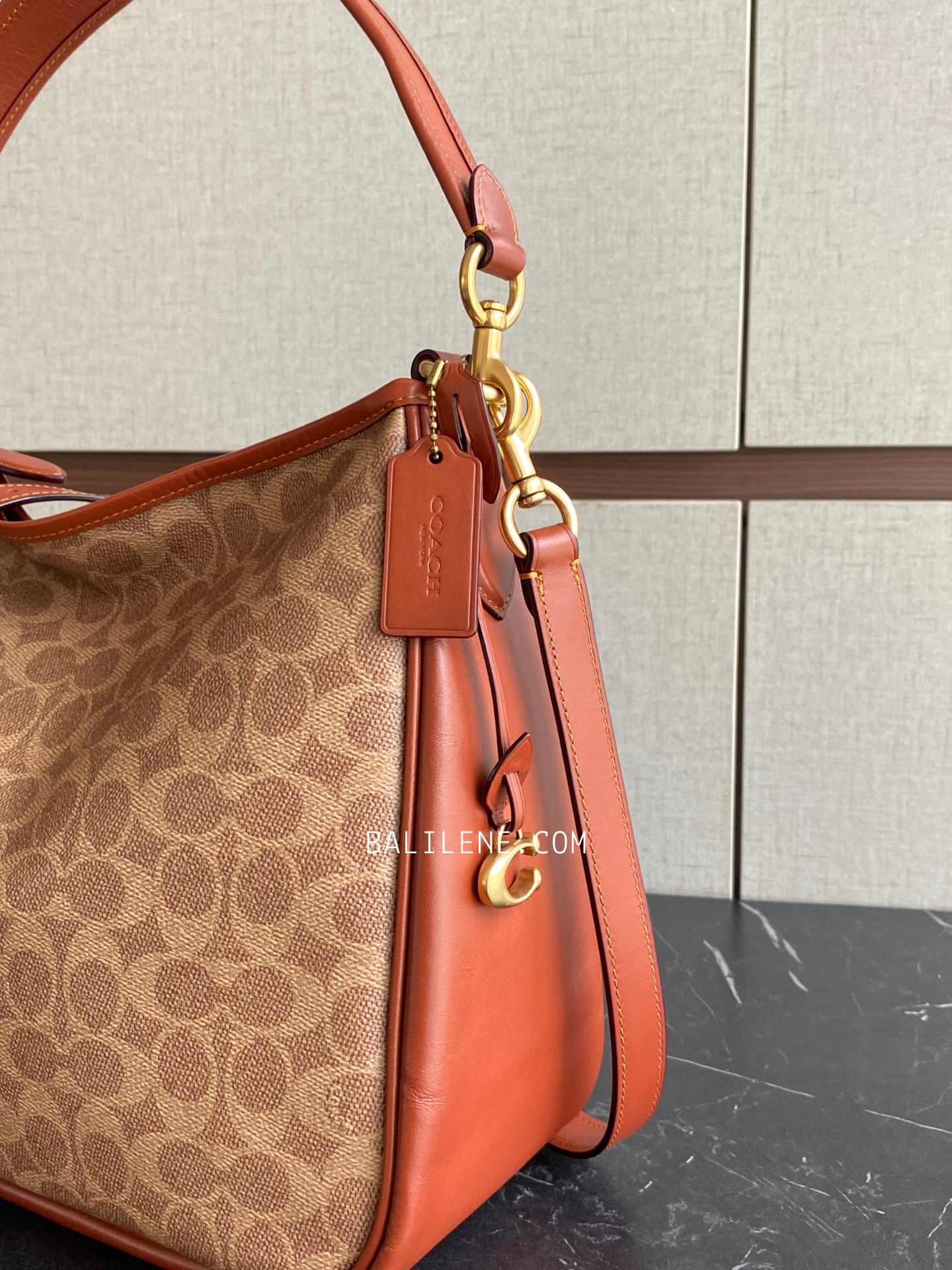 detail-samping-Coach-Cary-Shoulder-Bag-In-Signature-Canvas-Tan-Rust-balilene