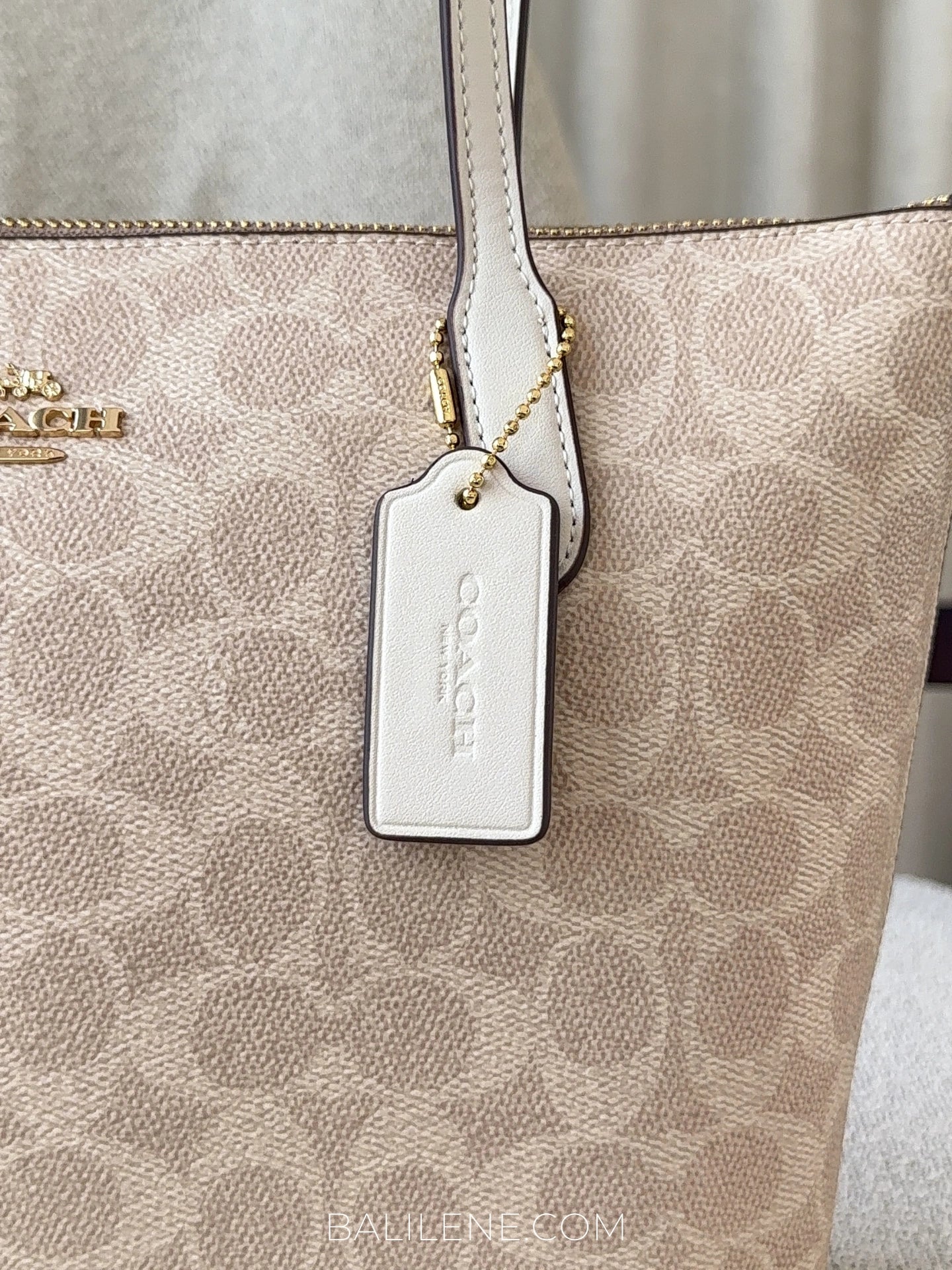 detail-samping-Coach-Fiona-Zip-Tote-Bag-In-Signature-Canvas-Sand-Chalk-balilene