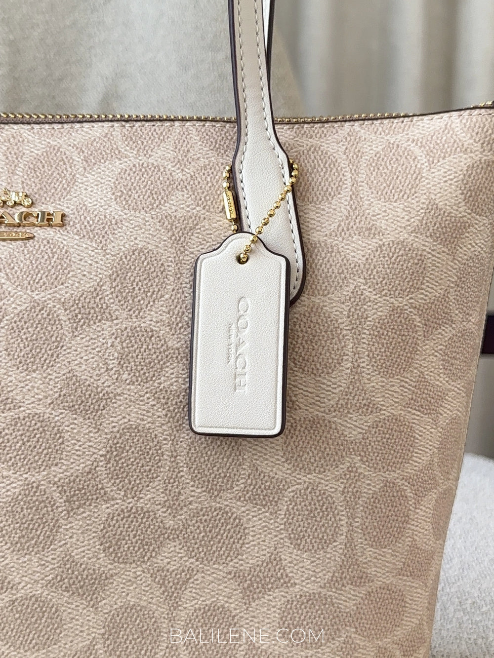 detail-samping-Coach-Fiona-Zip-Tote-Bag-In-Signature-Canvas-Sand-Chalk-balilene