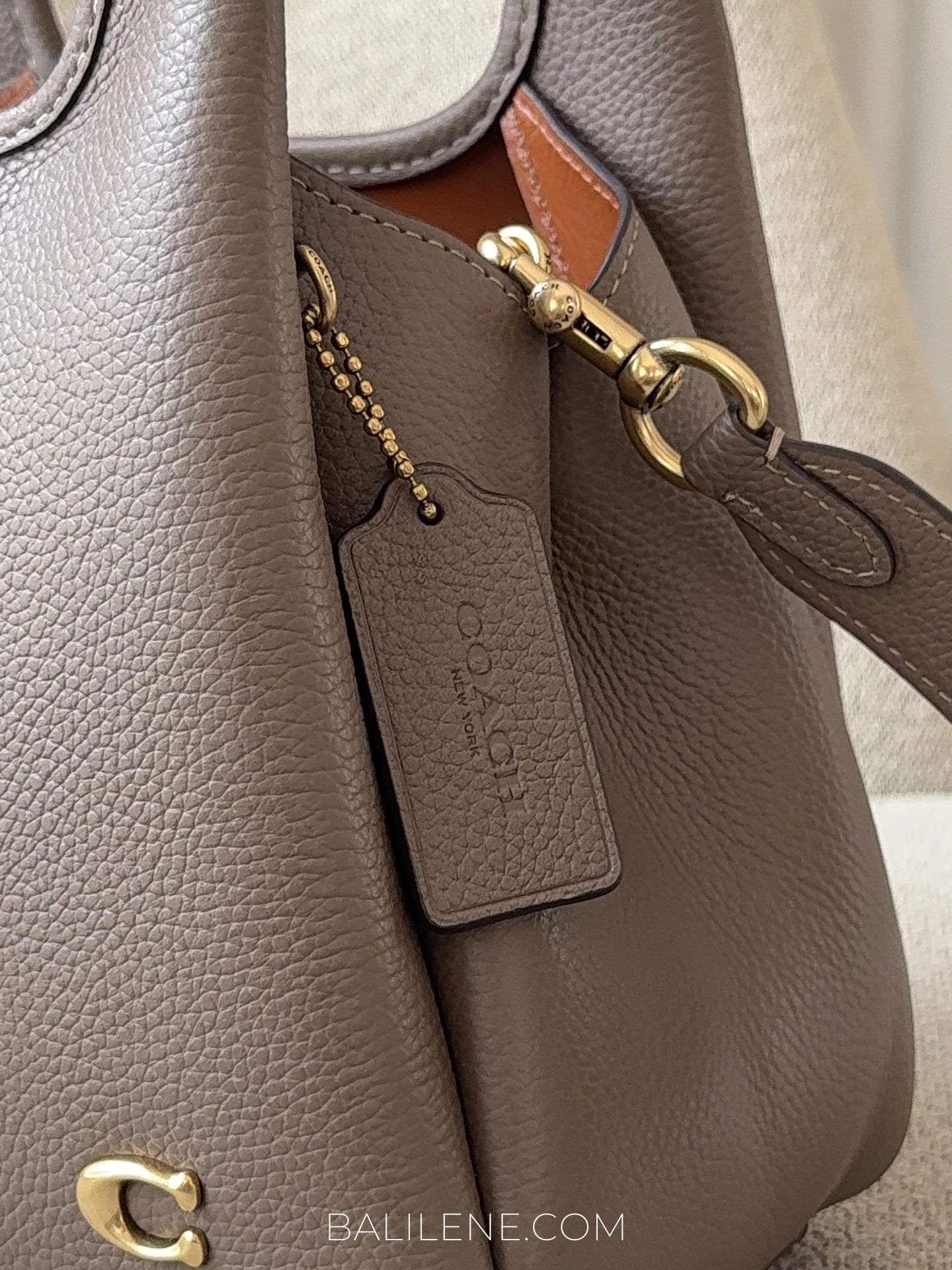 detail-samping-Coach-Lana-Shoulder-Bag-23-Dark-Stone-balilene
