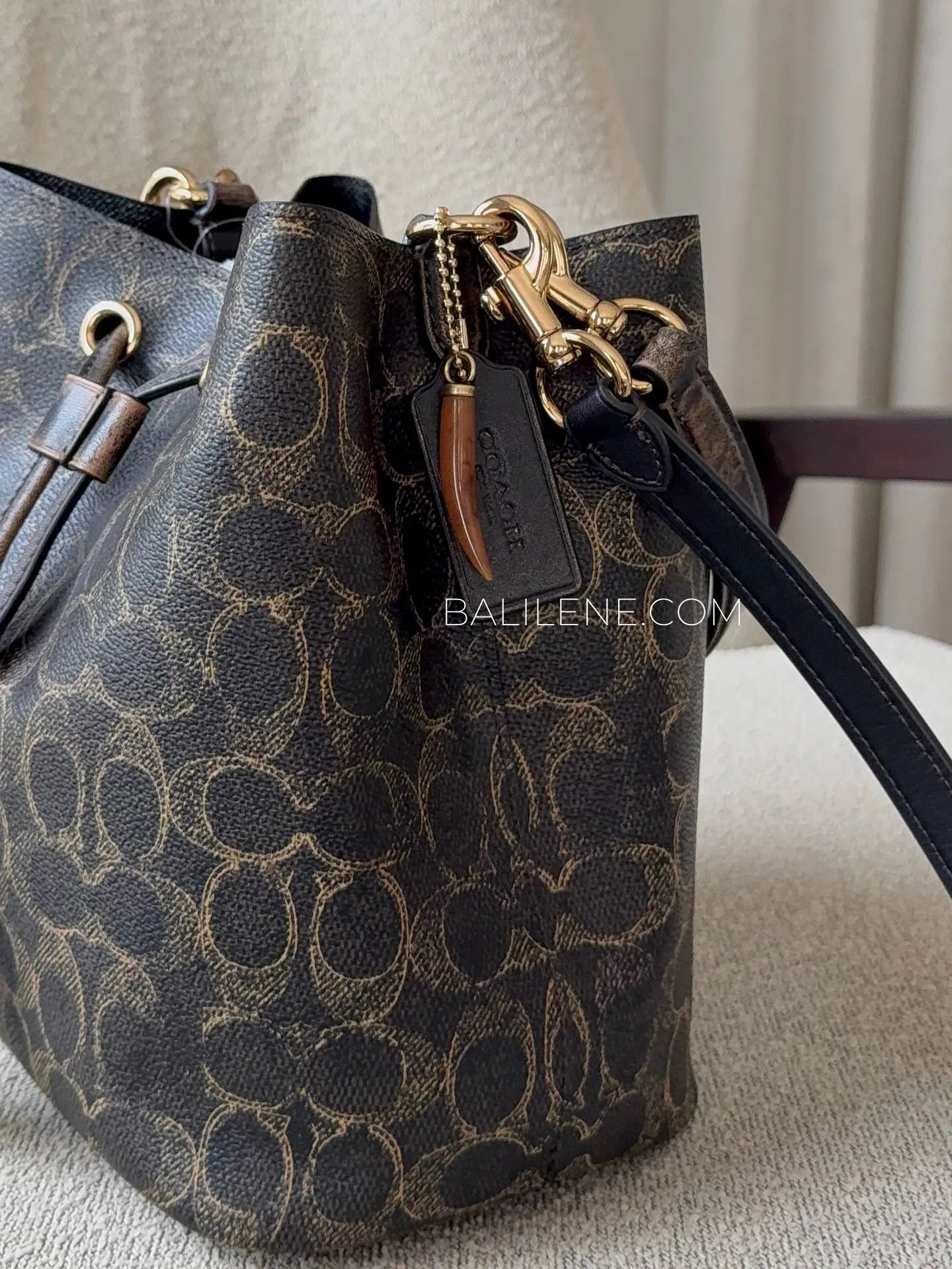 detail-samping-Coach-Rowan-Bucket-Bag-In-Loved-Signature-Canvas-With-Charms-Brown-balilene