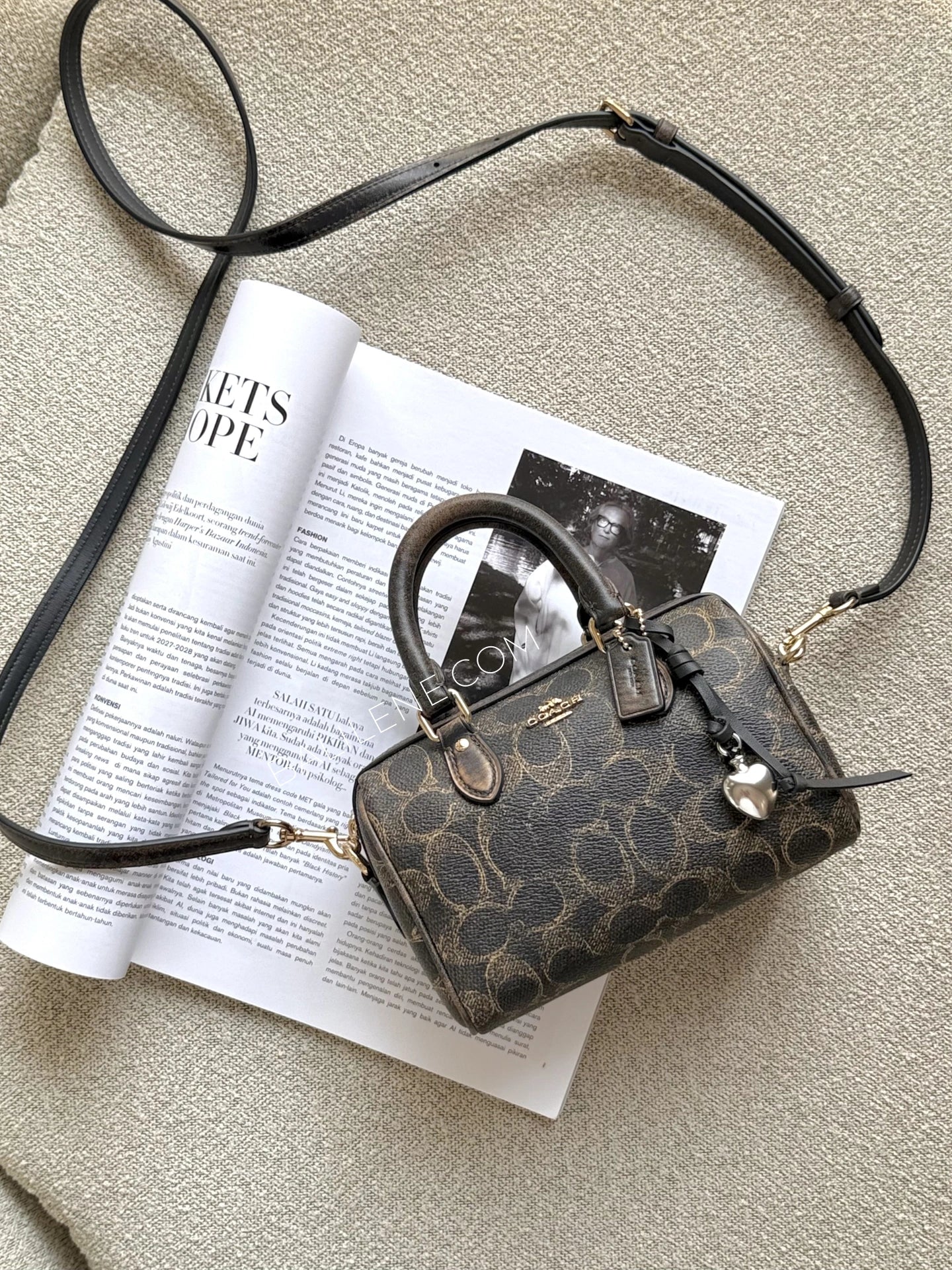 gambar-Coach-Mini-Rowan-Crossbody-Bag-In-Loved-Signature-Canvas-With-Charms-Brown-balilene