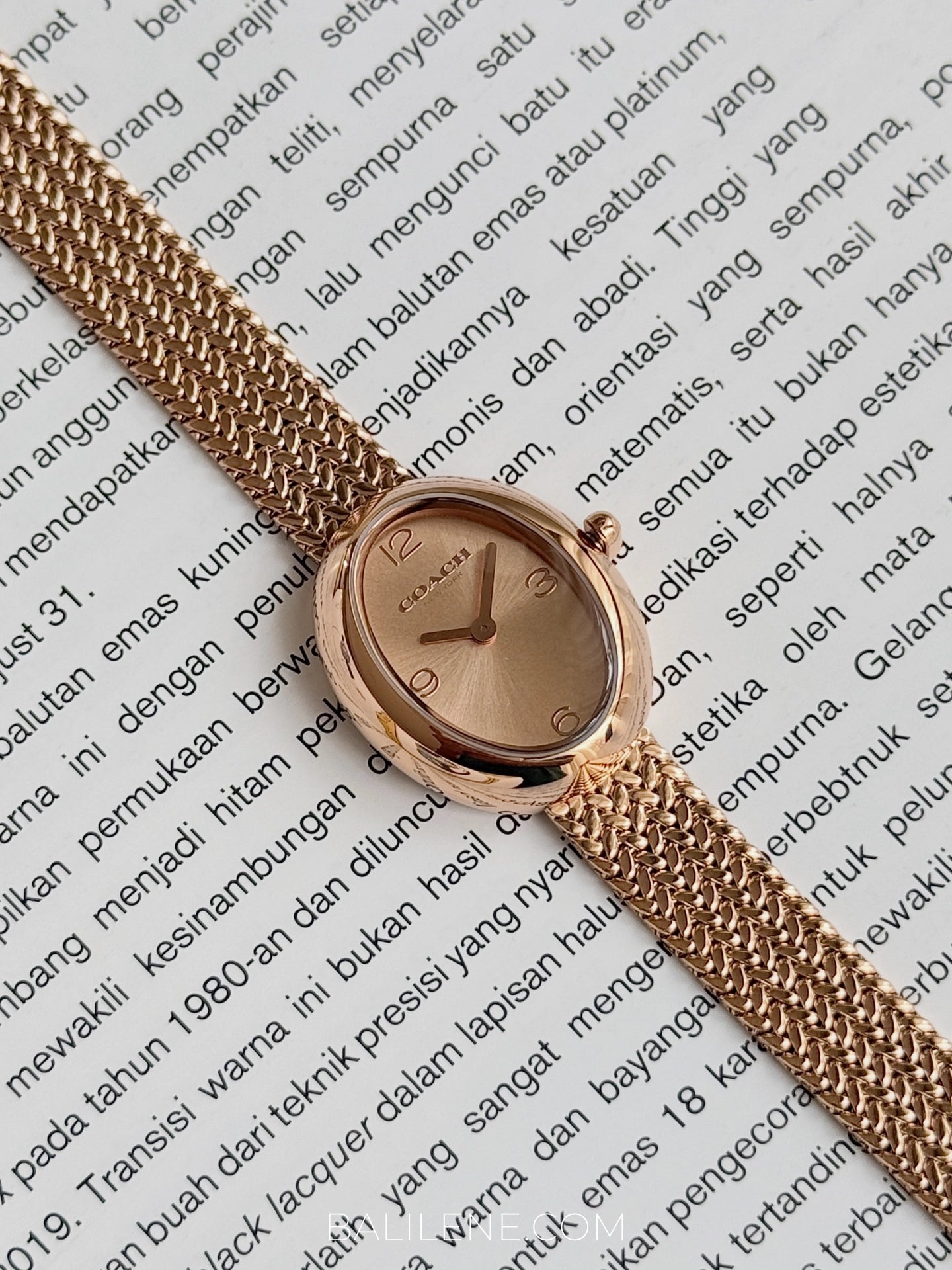 gambar-Coach-Sammy-Rose-Gold-Stainless-Steel-Women-Watch-balilene